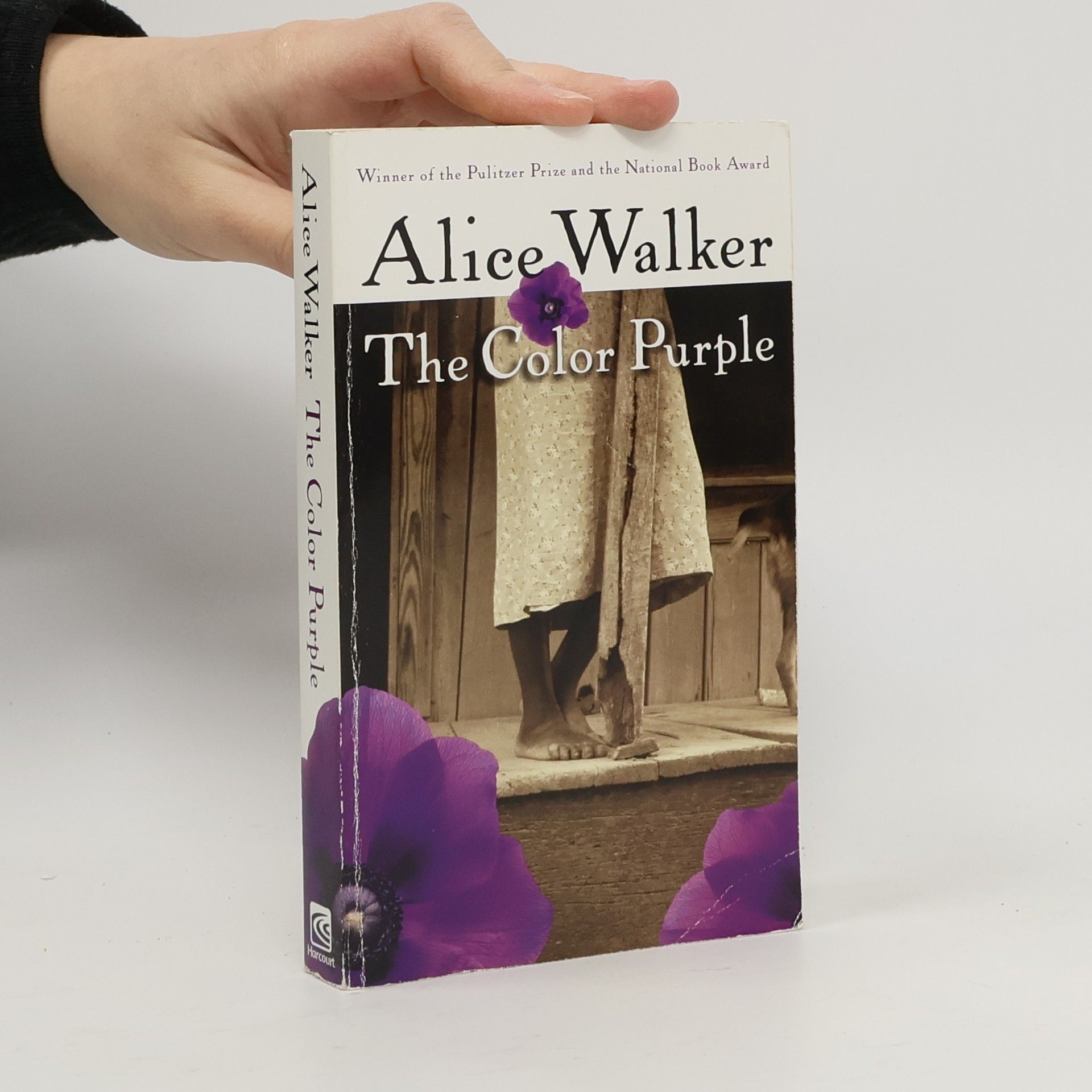 Alice Walker The Color Purple