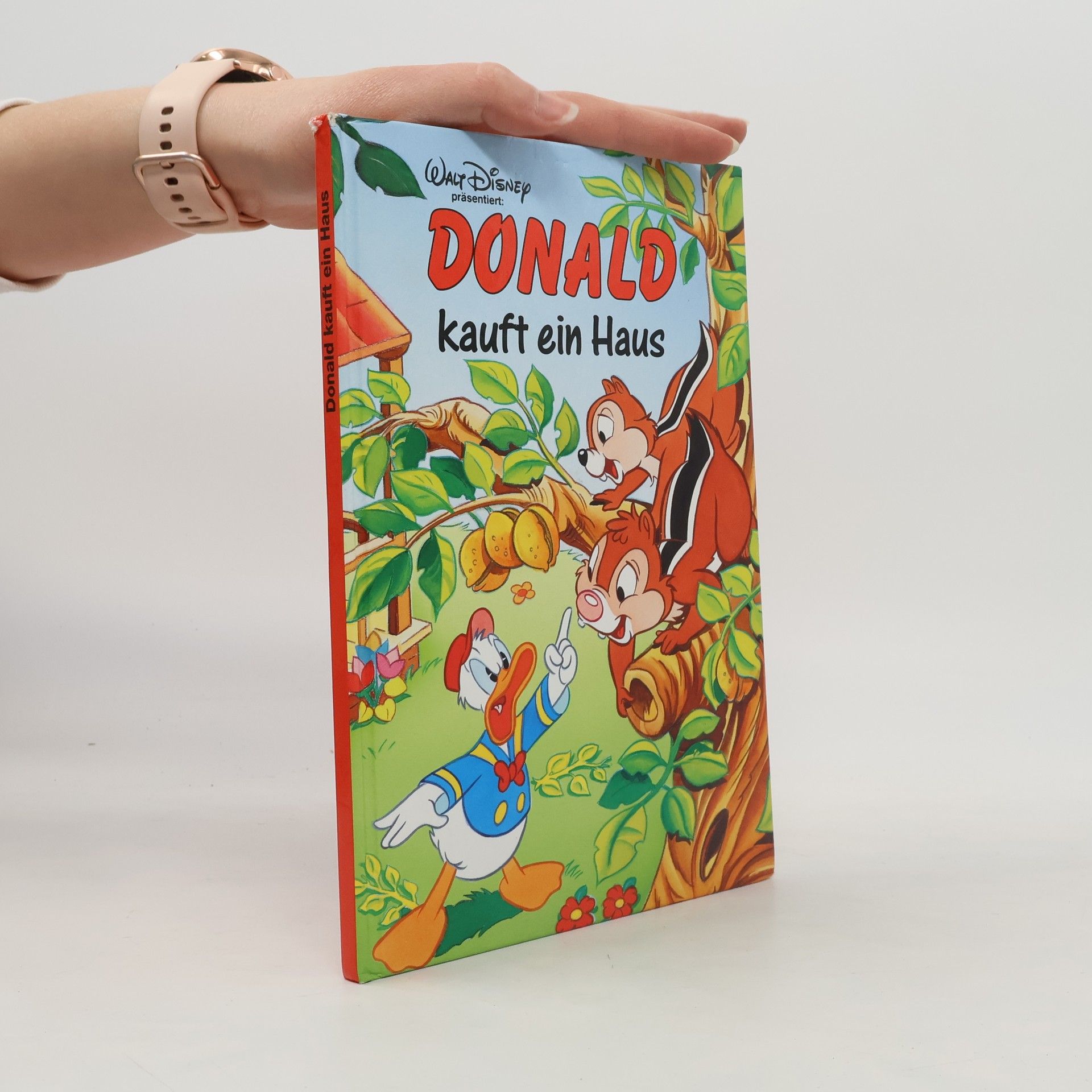 Autorenkollektiv Donald kauft ein Haus