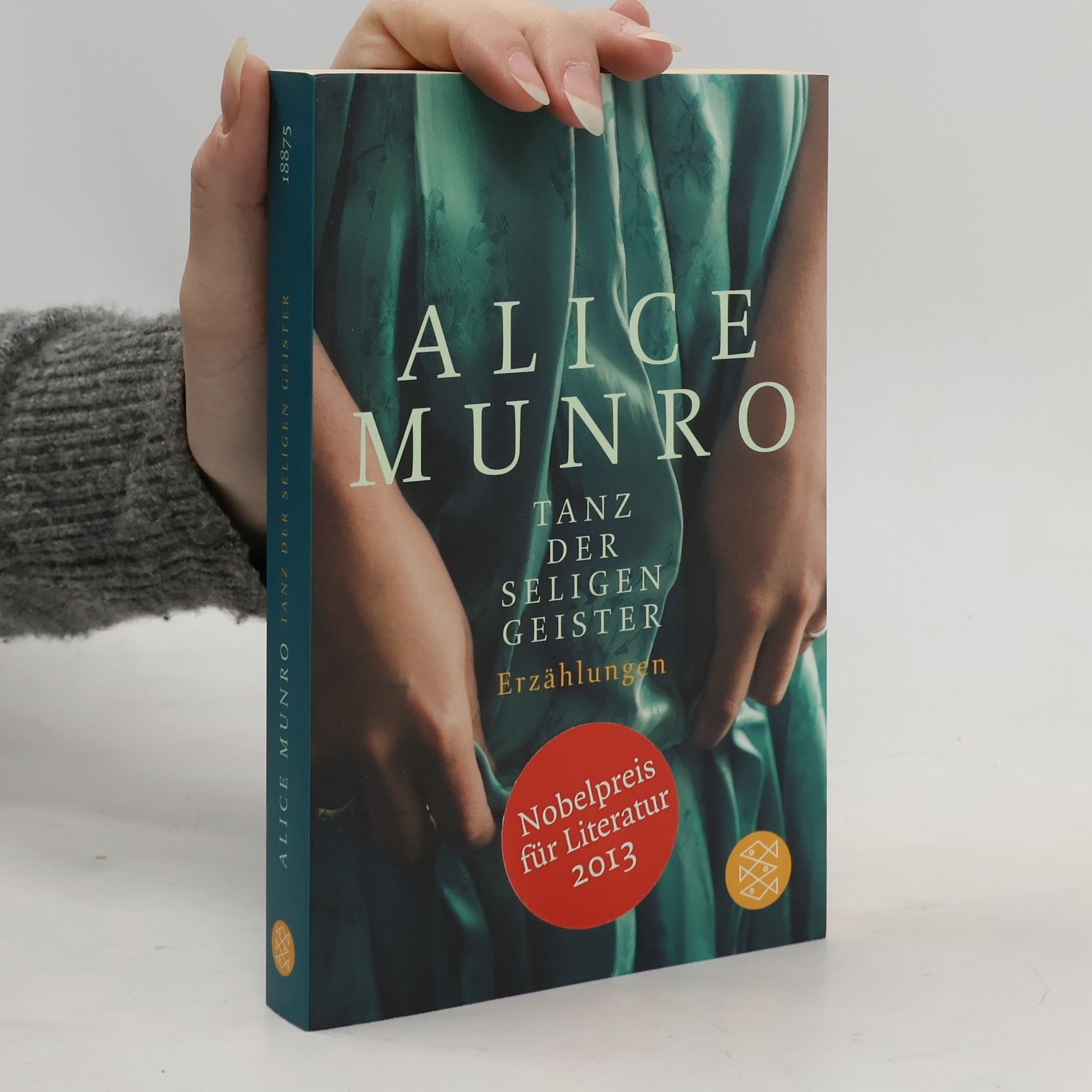 Alice Munro Tanz der seligen Geister