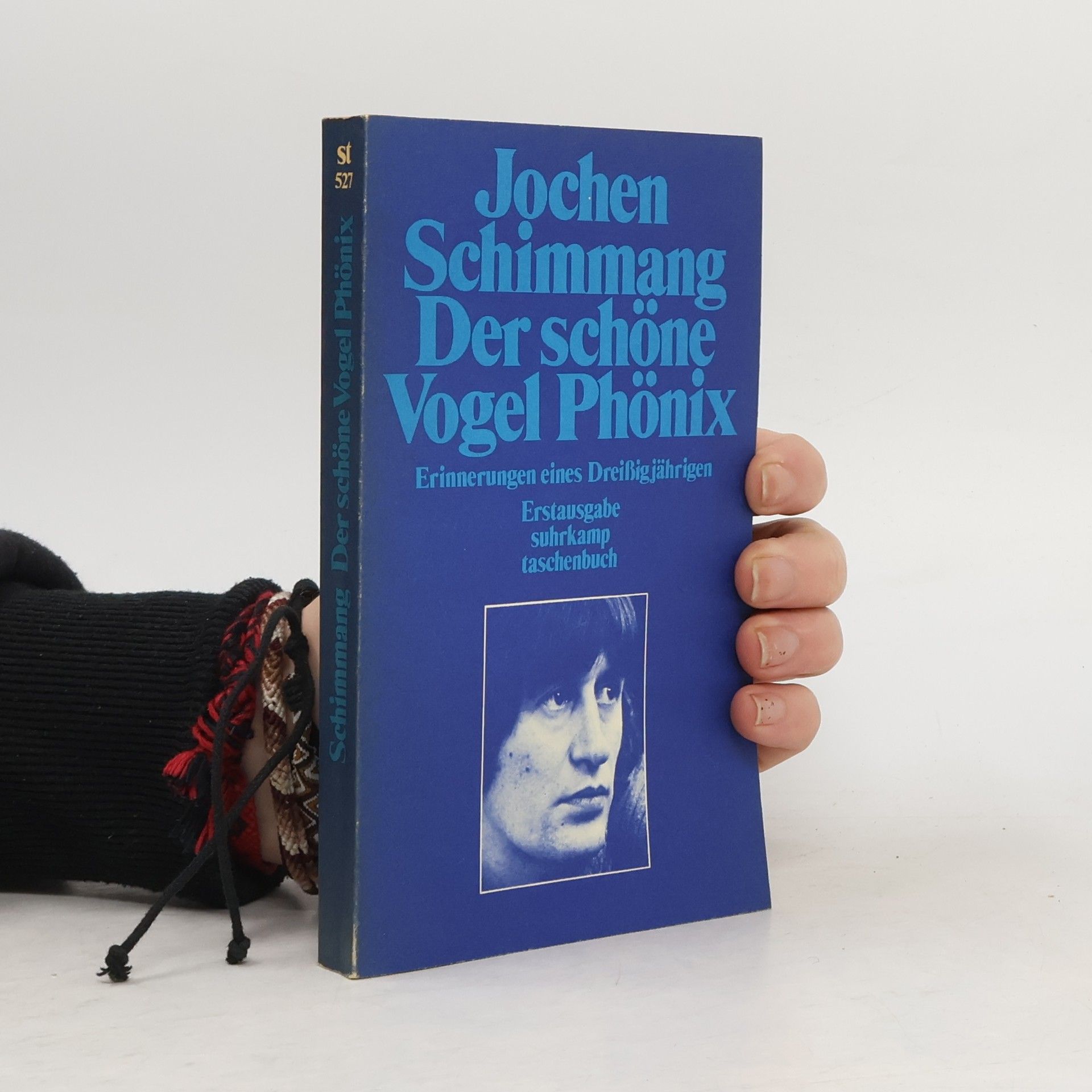 Jochen Schimmang Der schöne Vogel Phönix