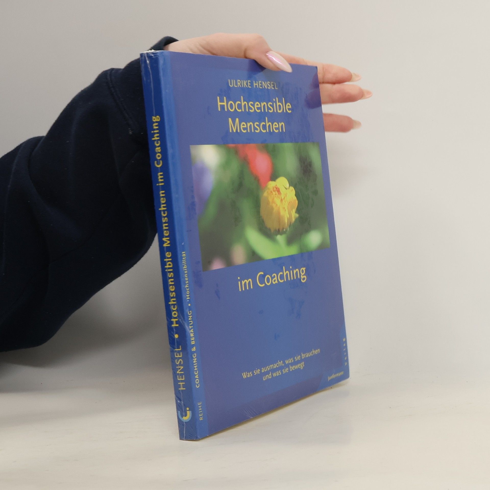 Hochsensible Menschen im Coaching