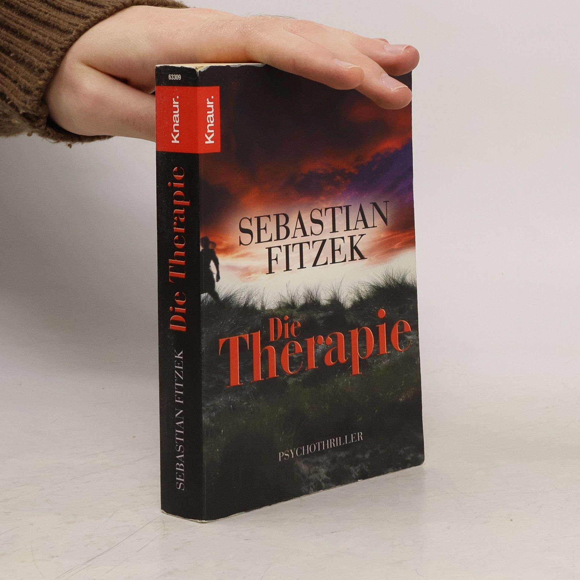Sebastian Fitzek Die Therapie