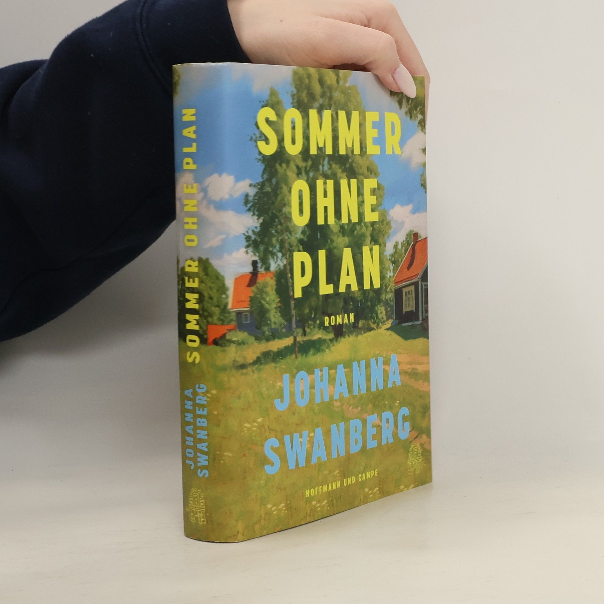 Johanna Swanberg Sommer ohne Plan