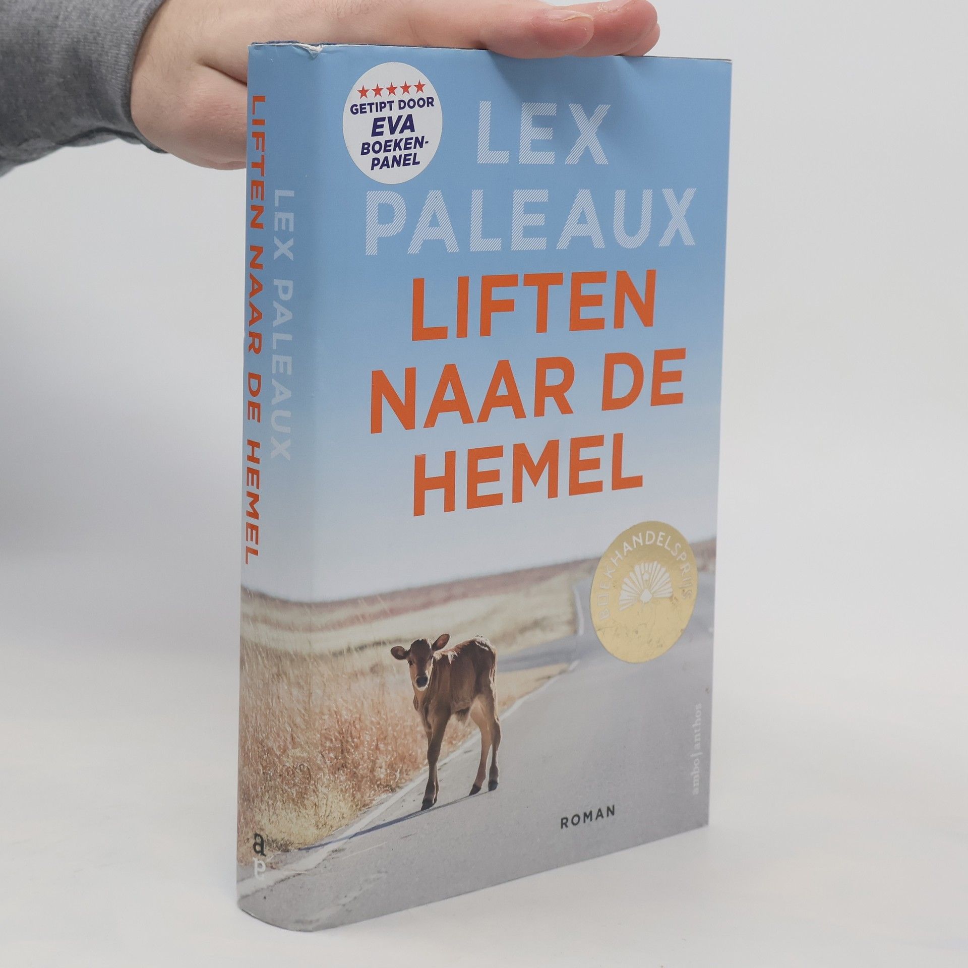 Lex Paleaux Liften naar de hemel