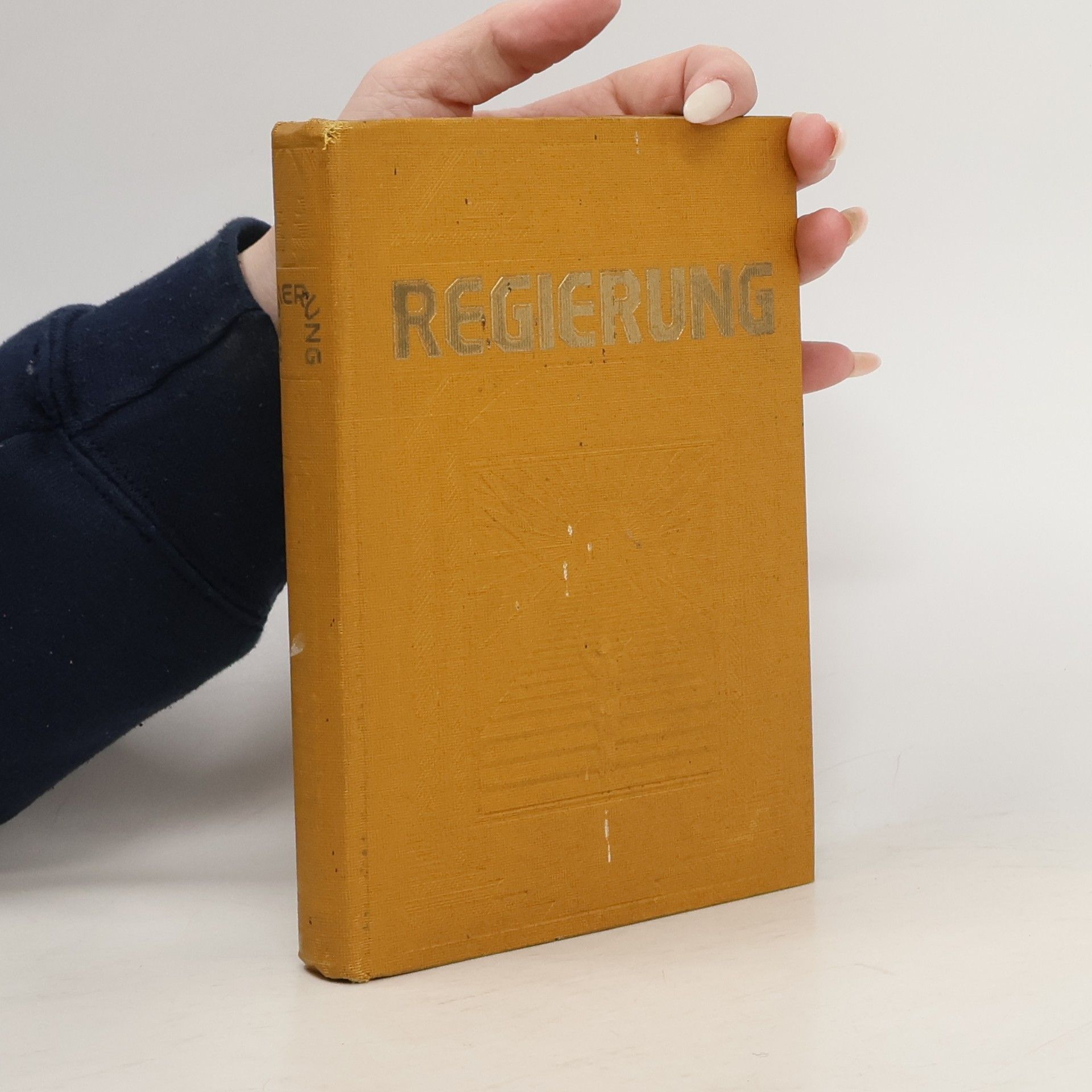 Autorenkollektiv Regierung