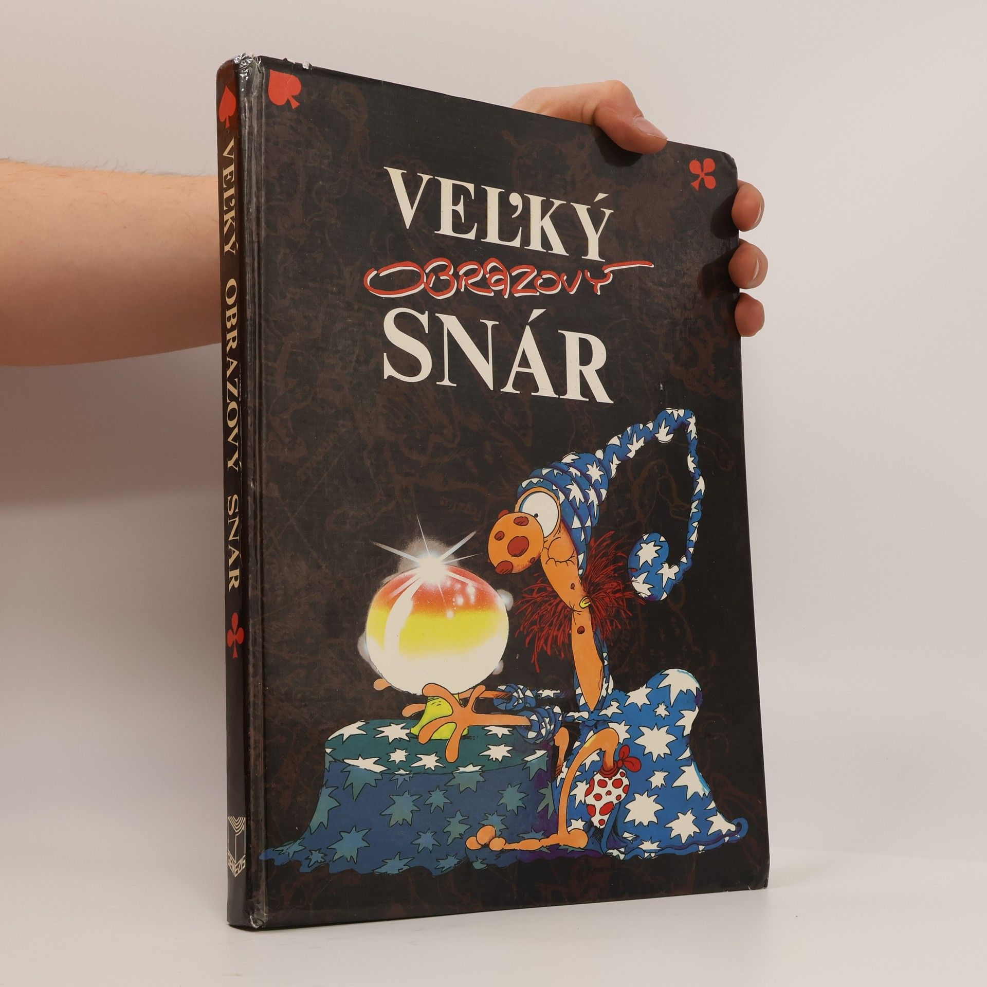 Autorenkollektiv Veľký obrazový snár
