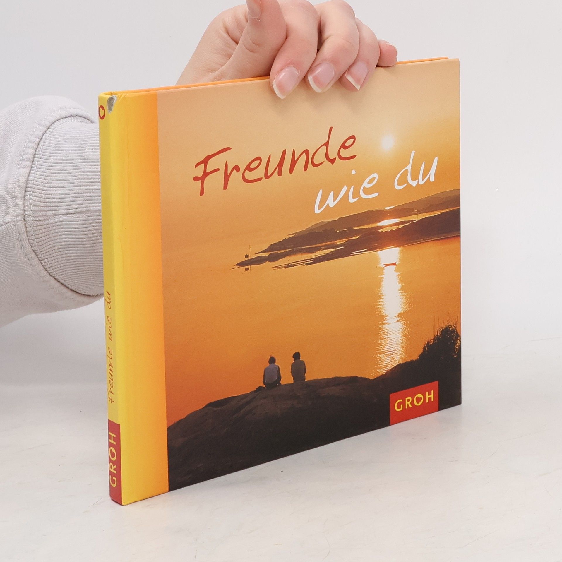 Brigitta Stahl Freunde wie du