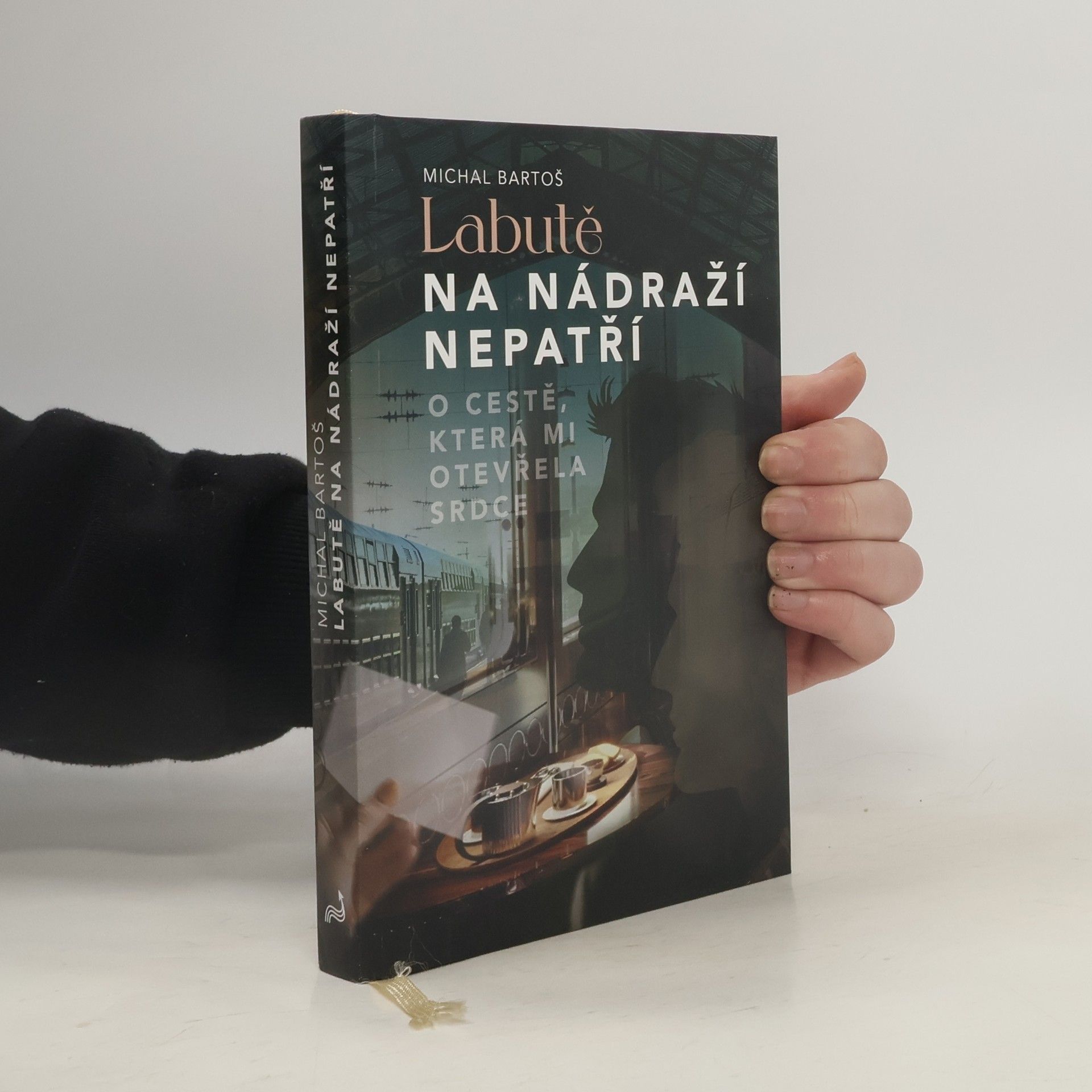 Labutě na nádraží nepatří