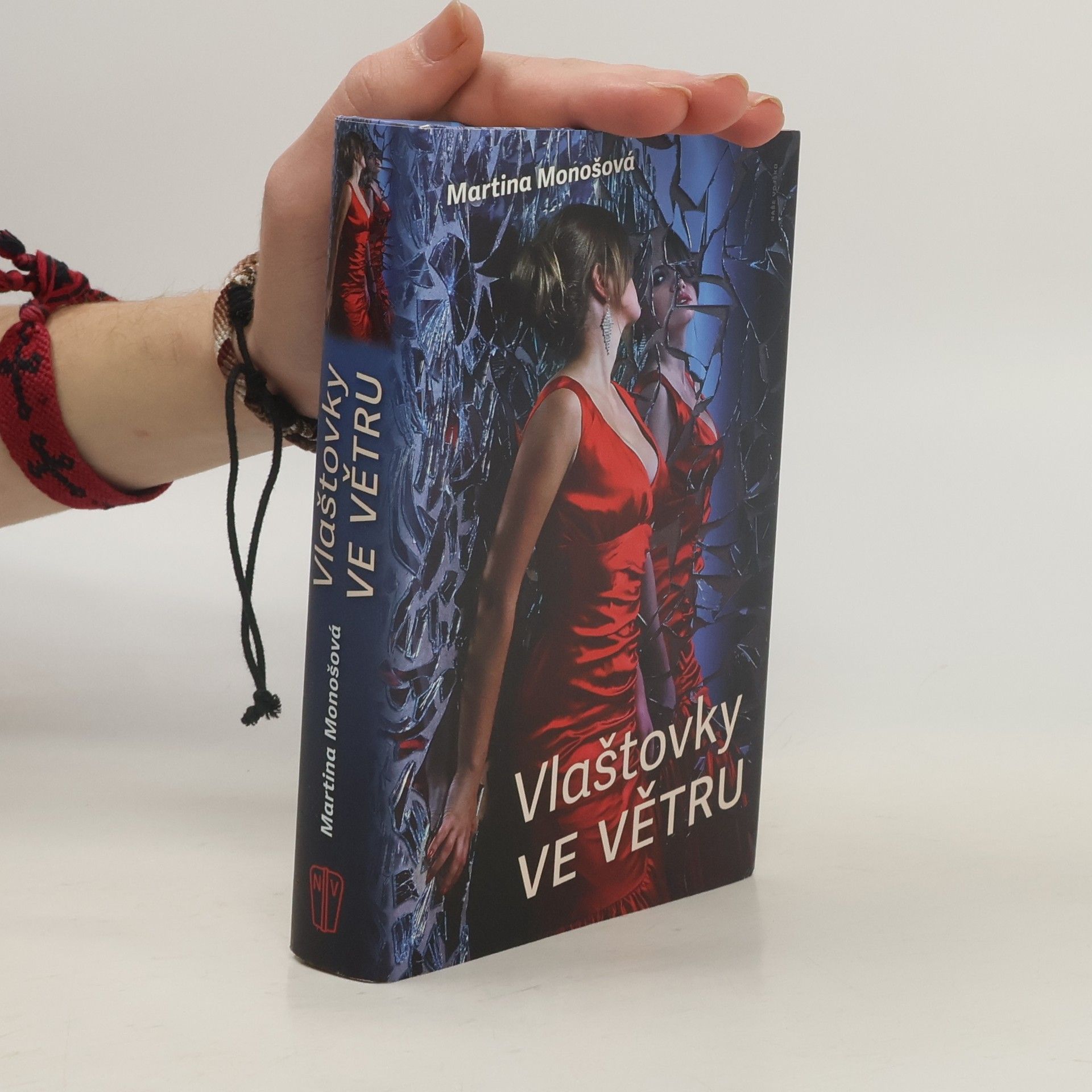 Vlaštovky ve větru