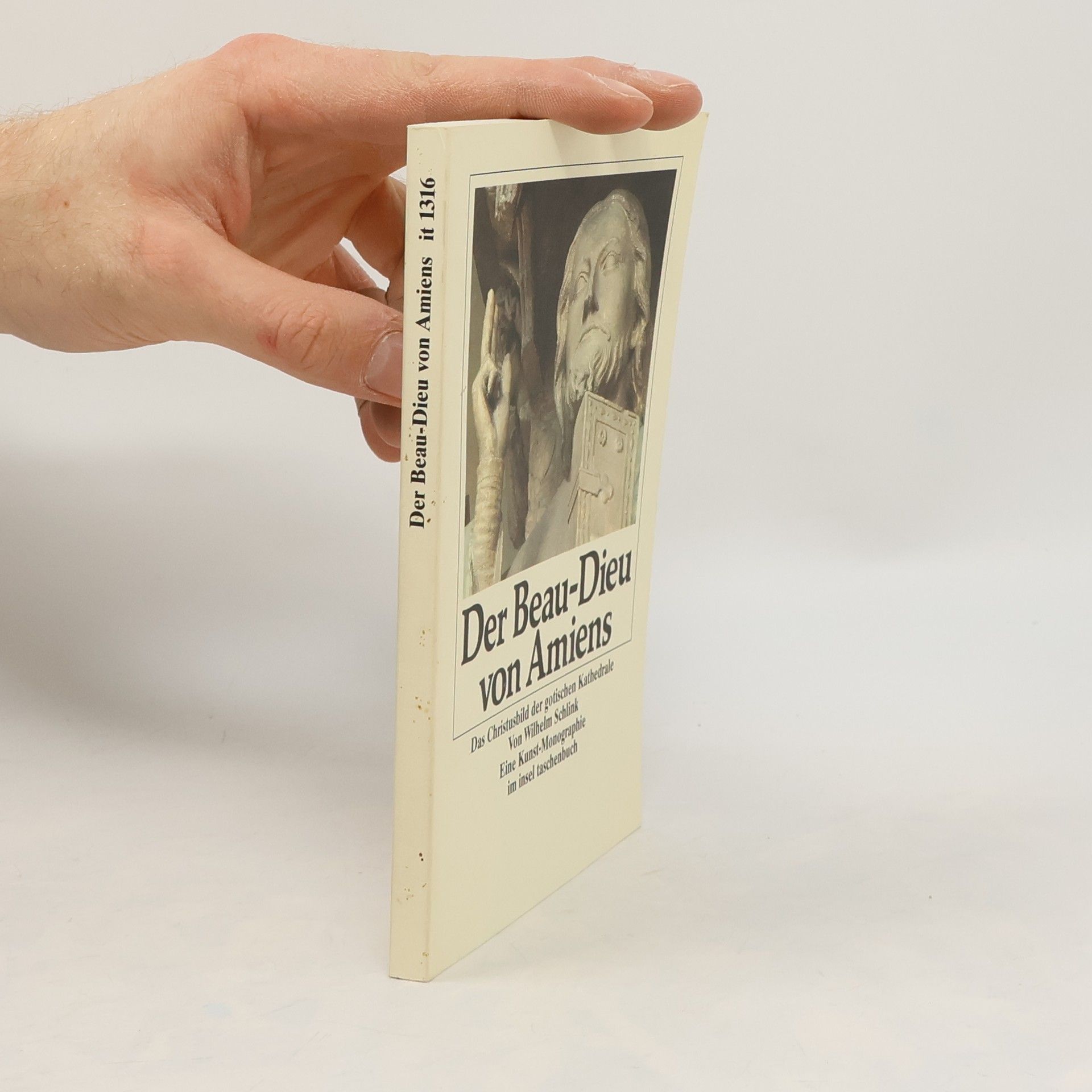 Wilhelm Schlink Der Beau-Dieu von Amiens
