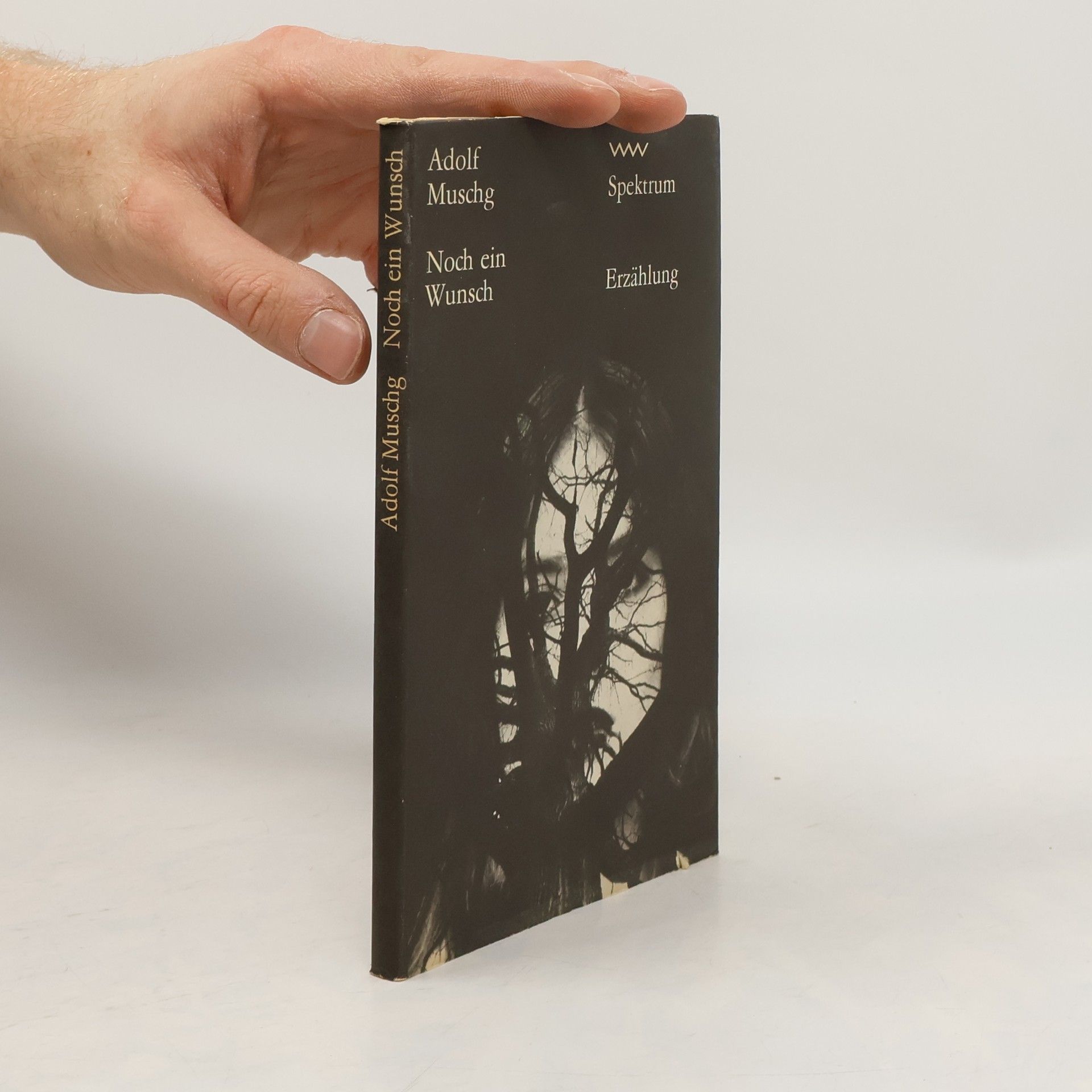 Adolf Muschg Noch ein Wunsch