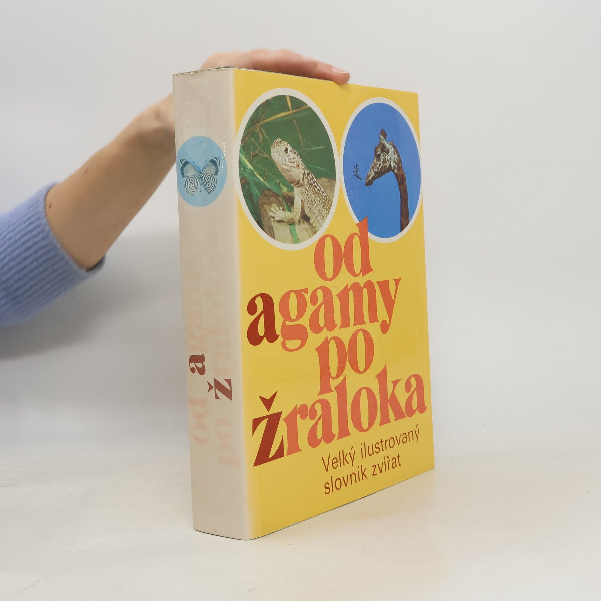 Autores varios Od agamy po žraloka. Velký ilustrovaný slovník zvířat