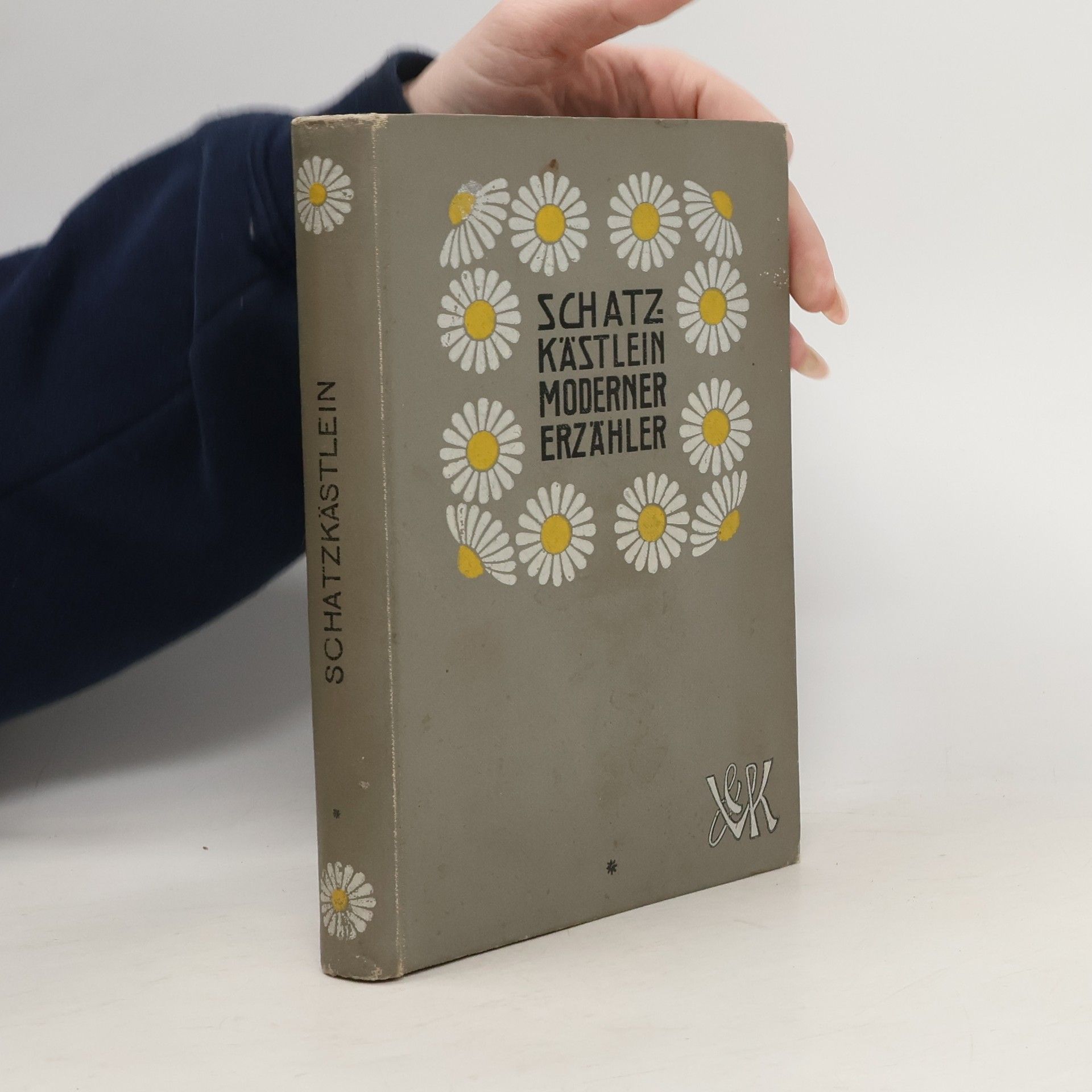 Schatz-Kästlein moderner Erzähler