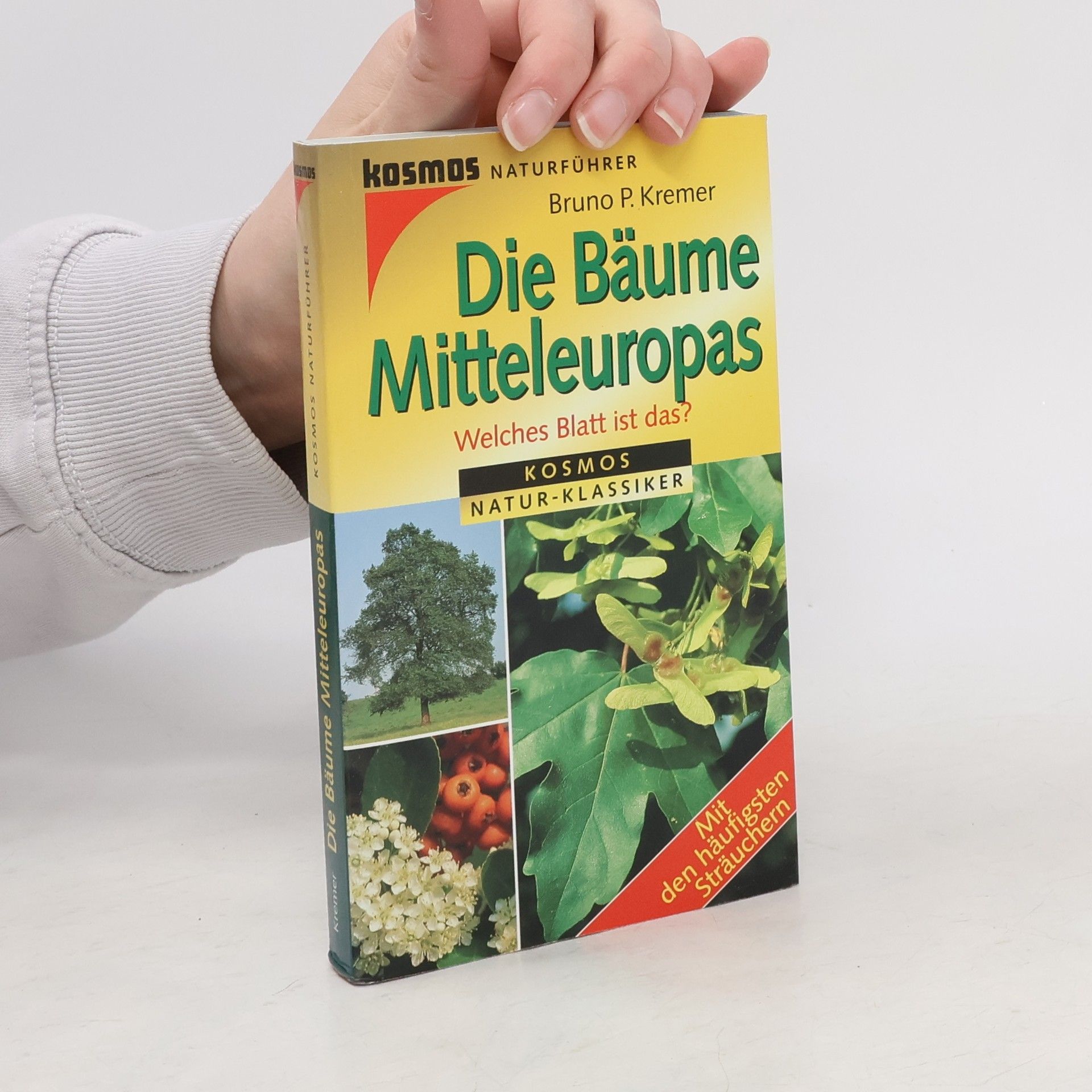 Bruno Kremer Die Bäume Mitteleuropas