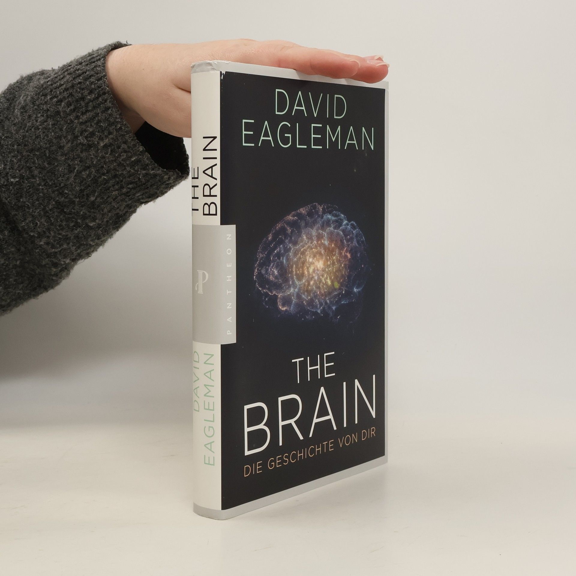 David Eagleman The Brain