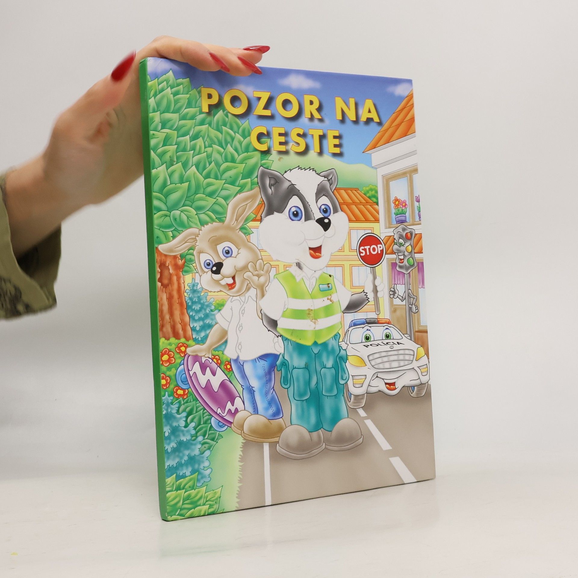 Kolektiv autorů Pozor na ceste