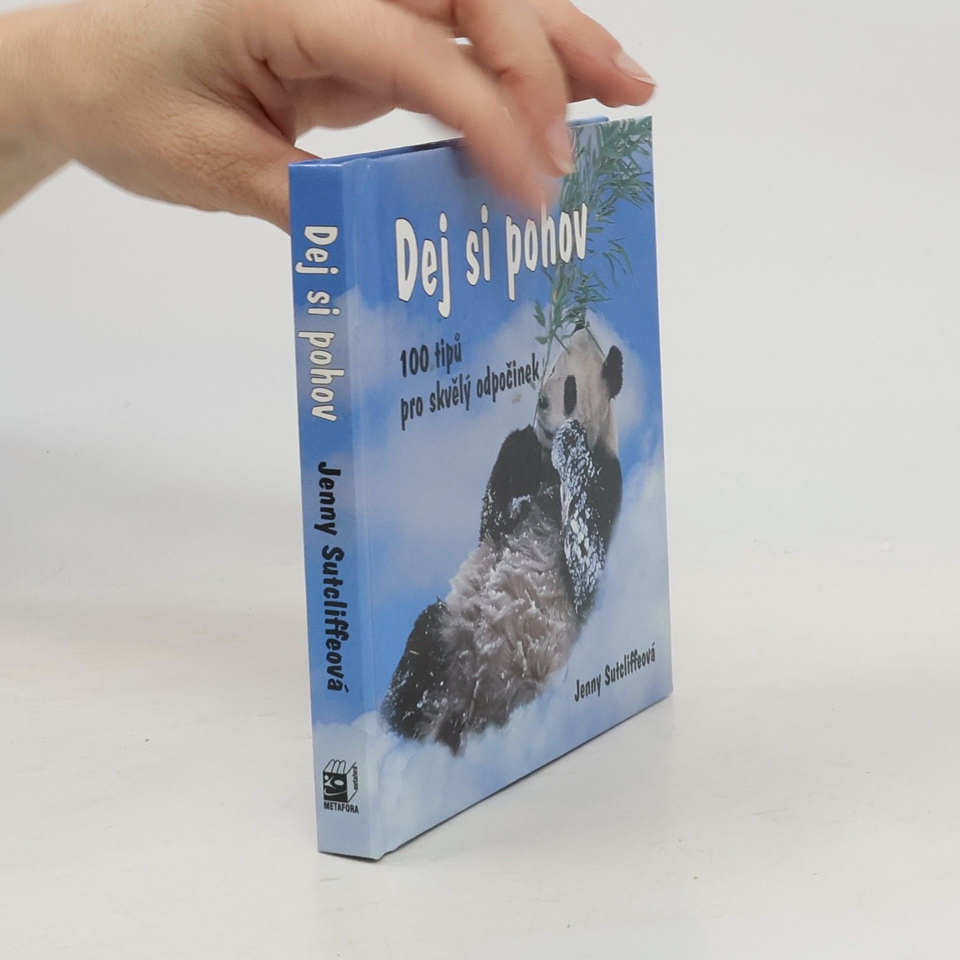 Dej si pohov. 100 tipů pro skvělý odpočinek