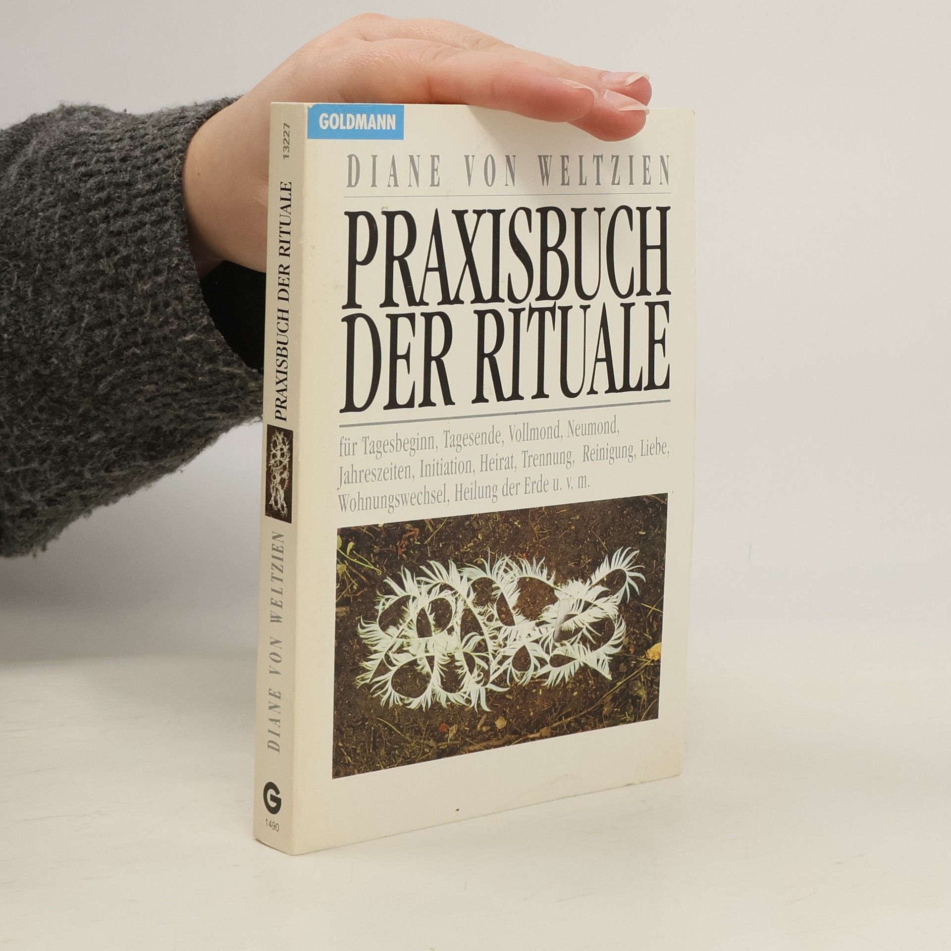 Diane von Weltzien Praxisbuch der Rituale