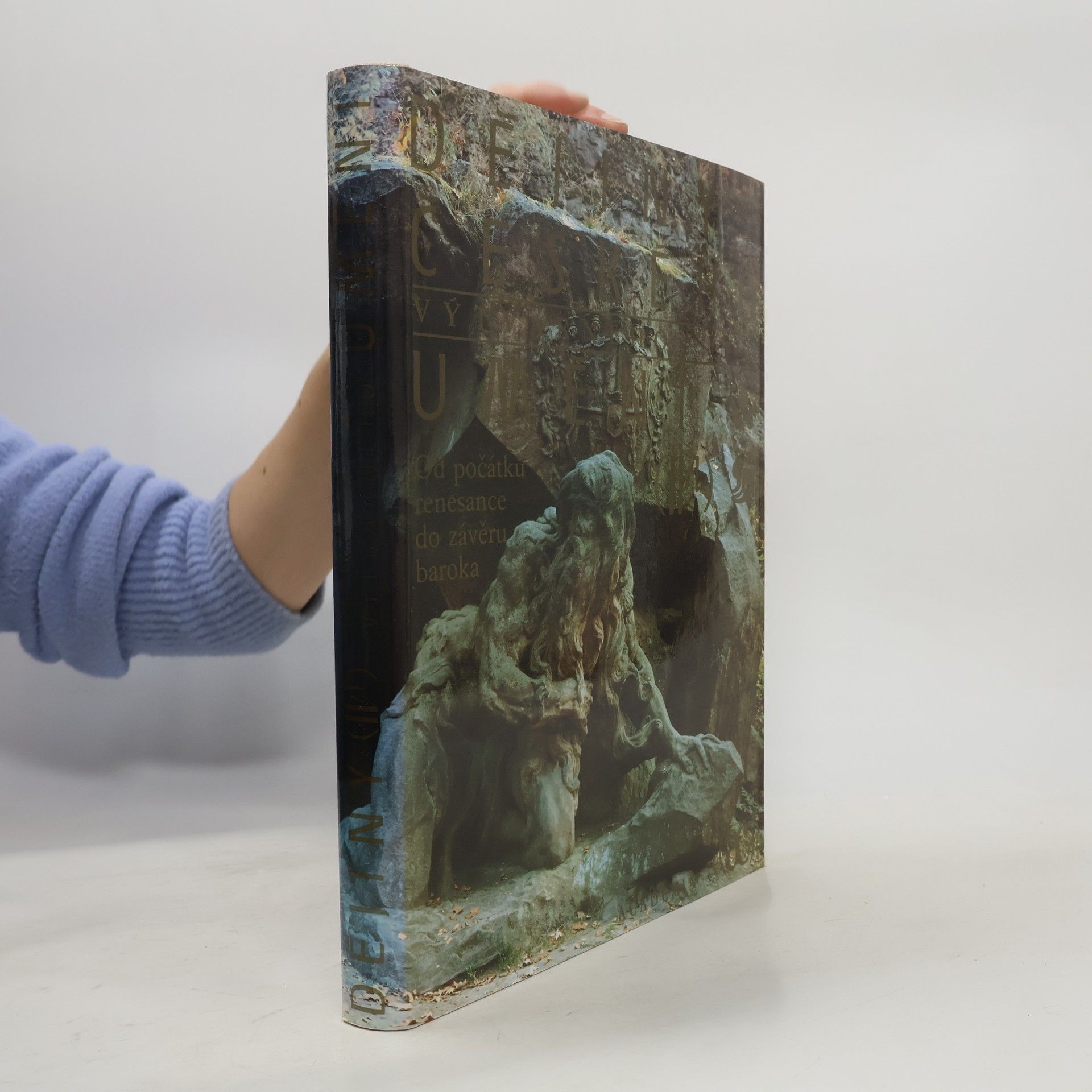 Various authors Dějiny českého výtvarného umění II/1