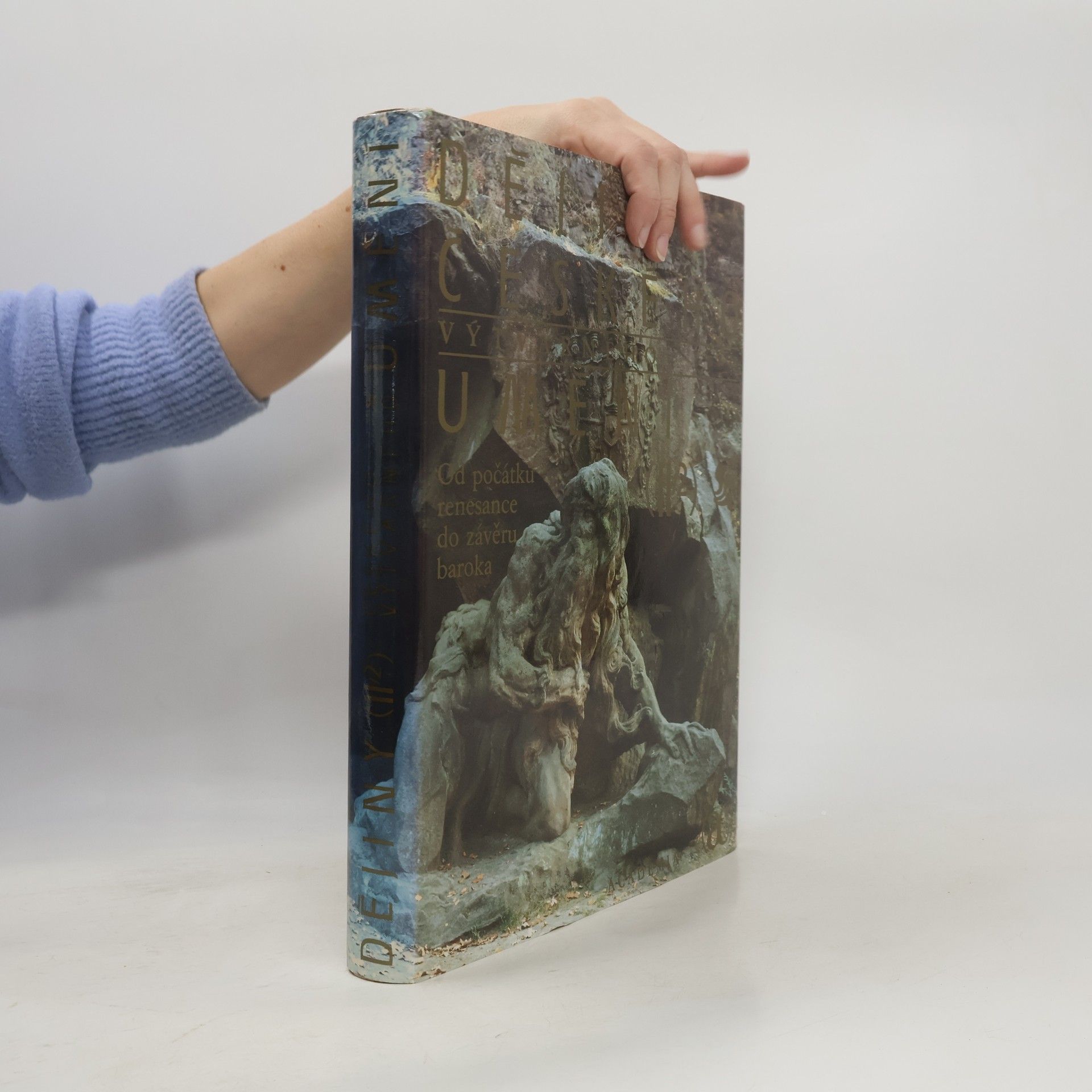 Jiří Dvorský Dějiny českého výtvarného umění II/2