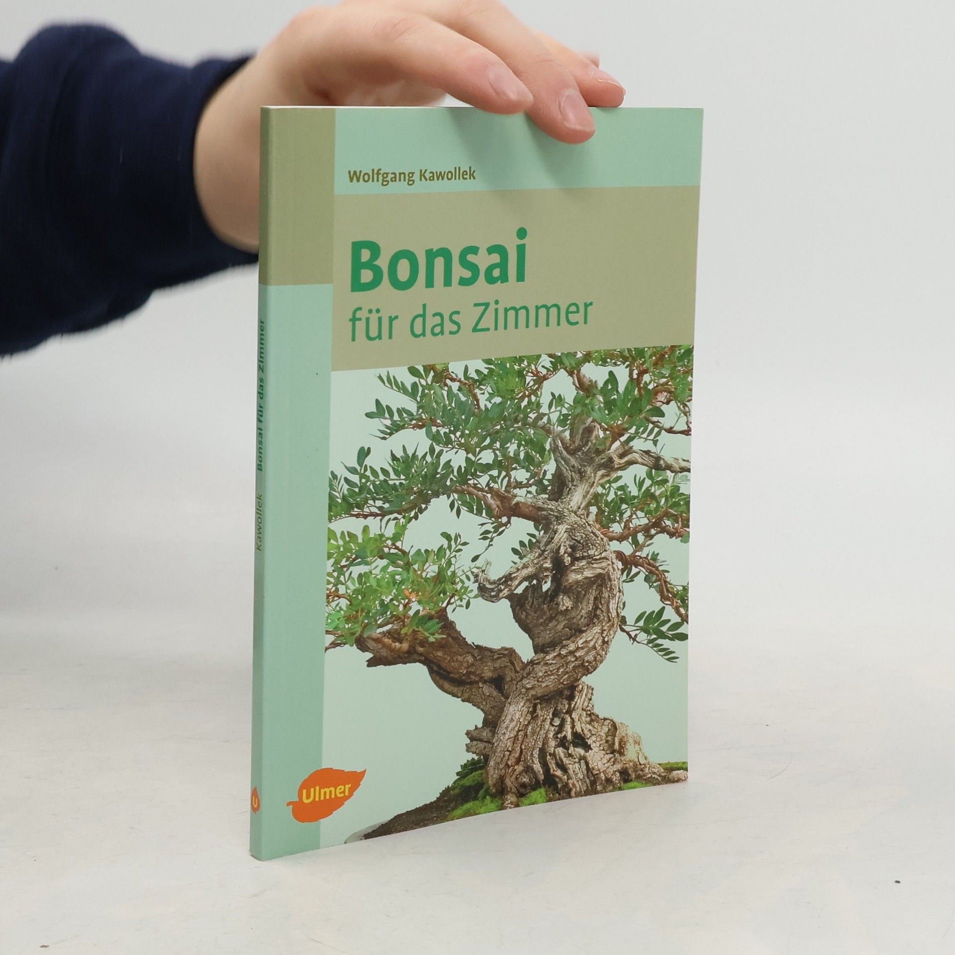 Wolfgang Kawollek Bonsai für das Zimmer