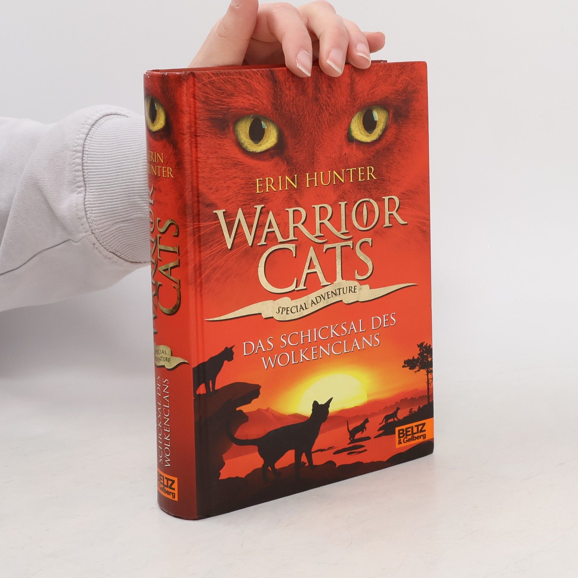 Erin Hunter Warrior Cats: Das Schicksal des WolkenClans
