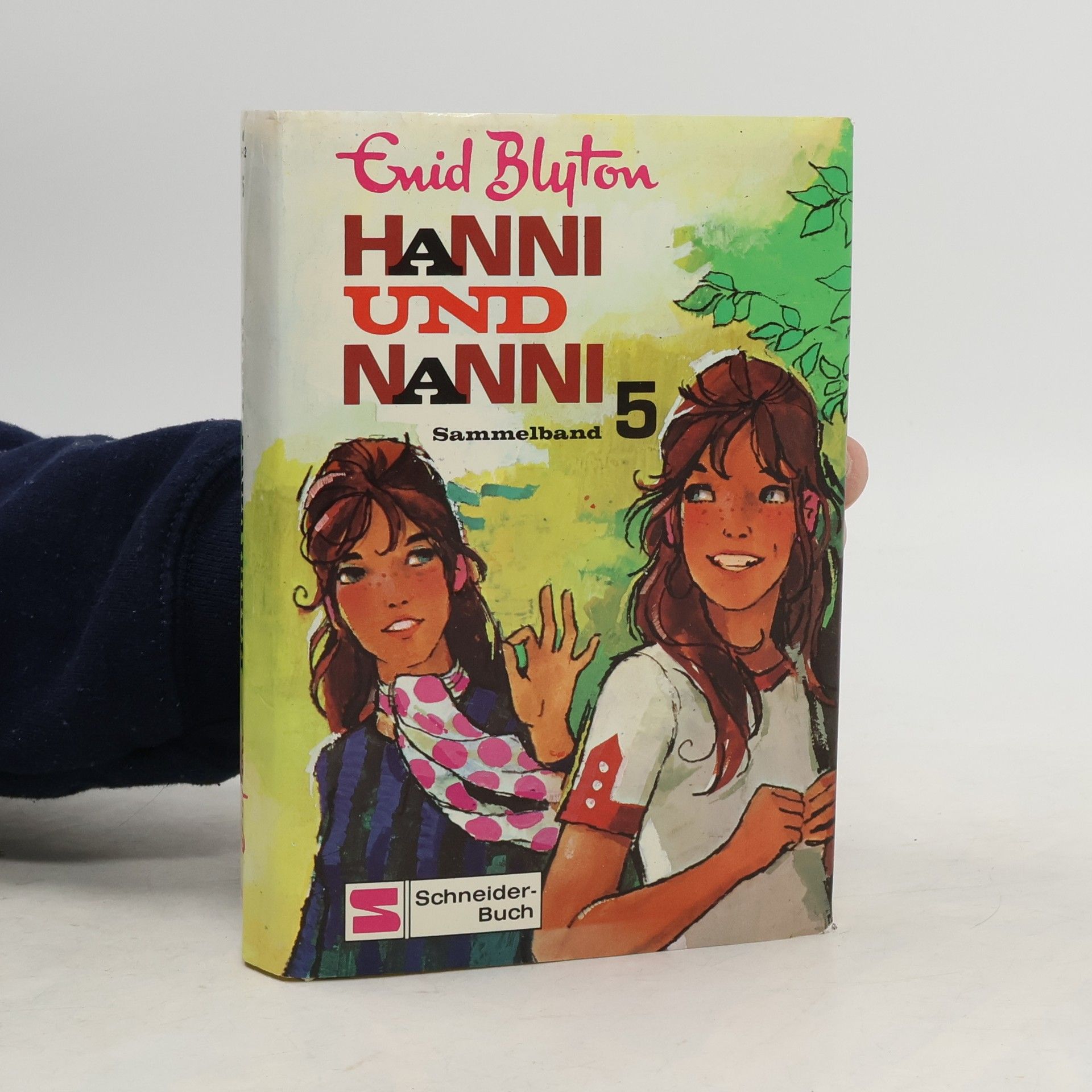 Enid Blyton Hanni und Nanni. Sammelband 5