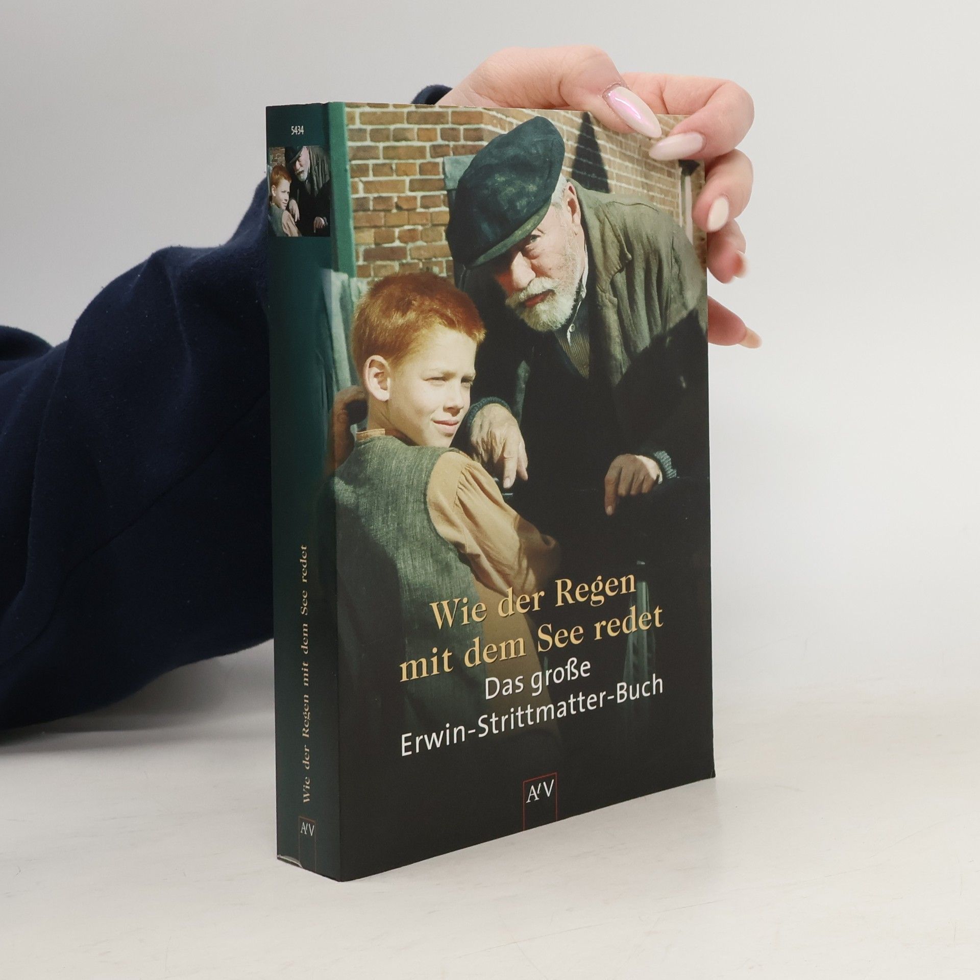 Erwin Strittmatter Wie der Regen mit dem See redet