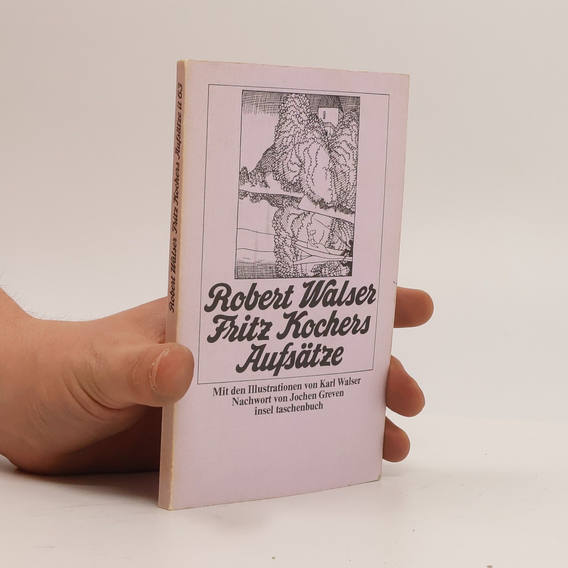 Robert Walser Fritz Kochers Aufsätze