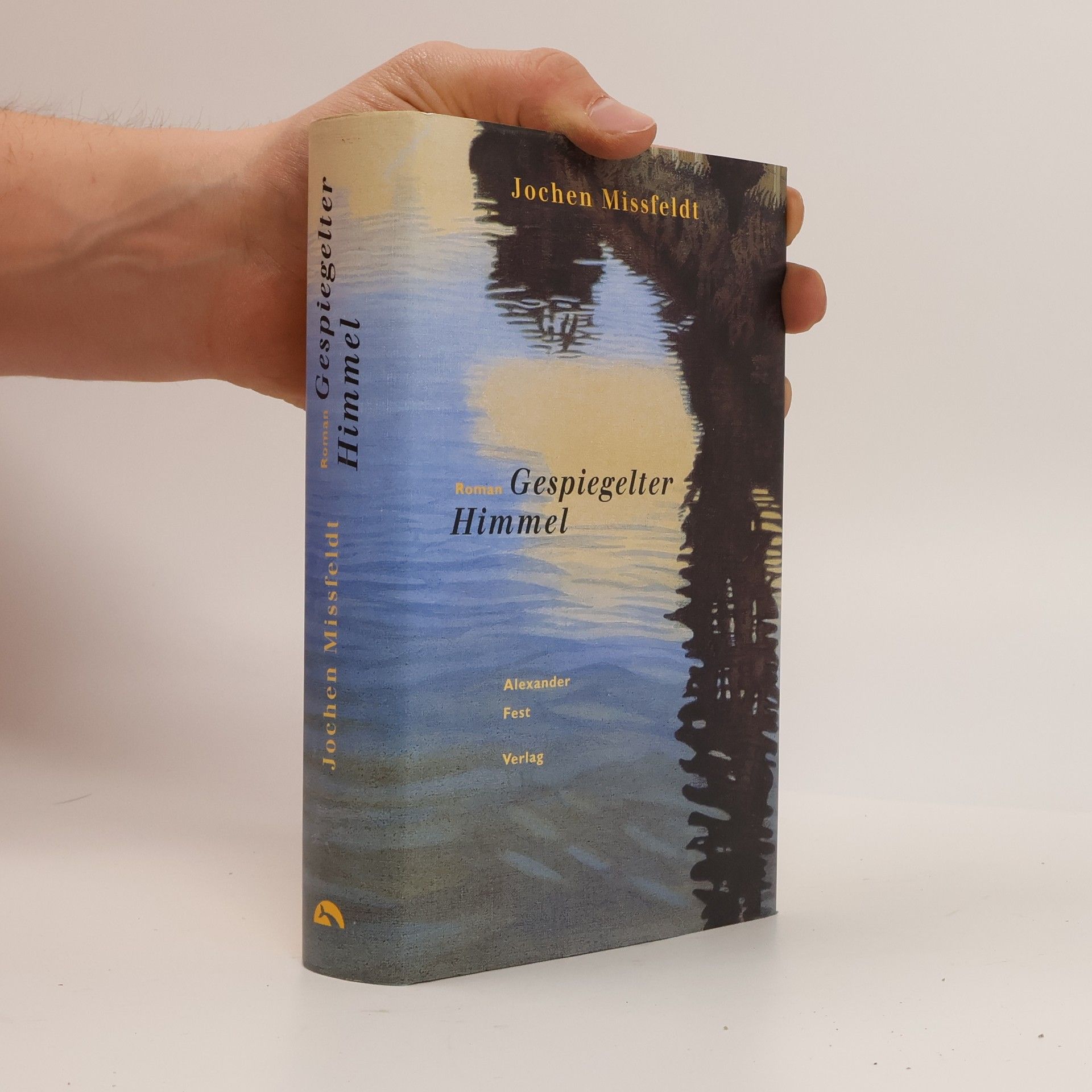 Jochen Missfeldt Gespiegelter Himmel
