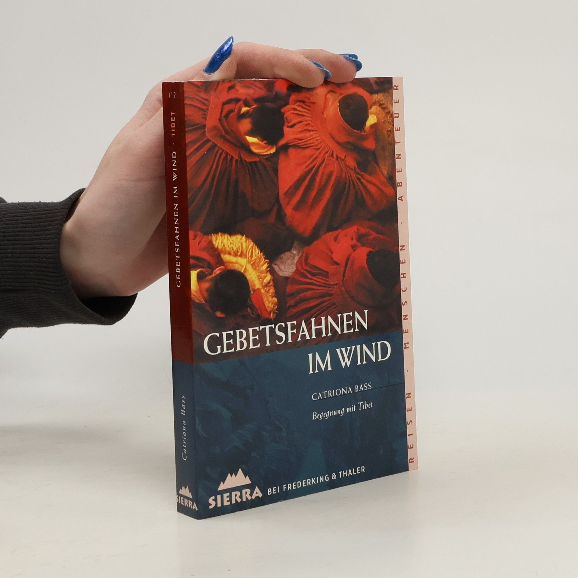 Catriona Bass Gebetsfahnen im Wind