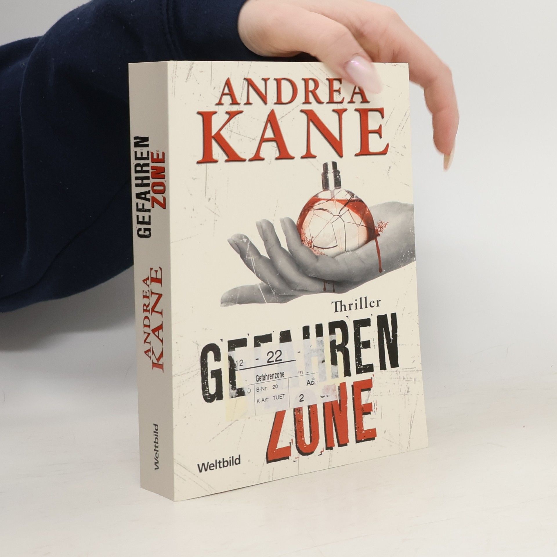 Andrea Kane Gefahren-Zone