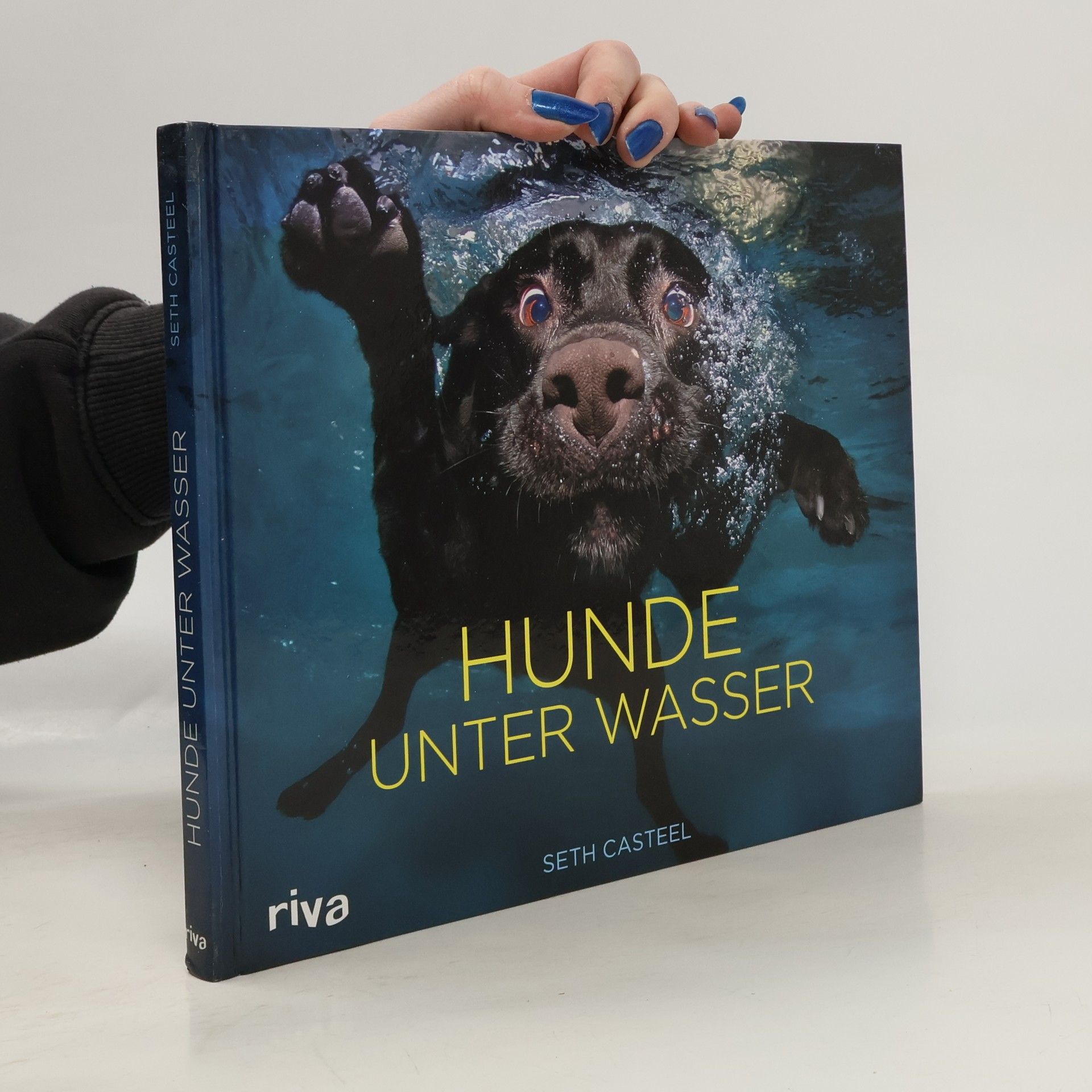 Seth Casteel Hunde unter Wasser