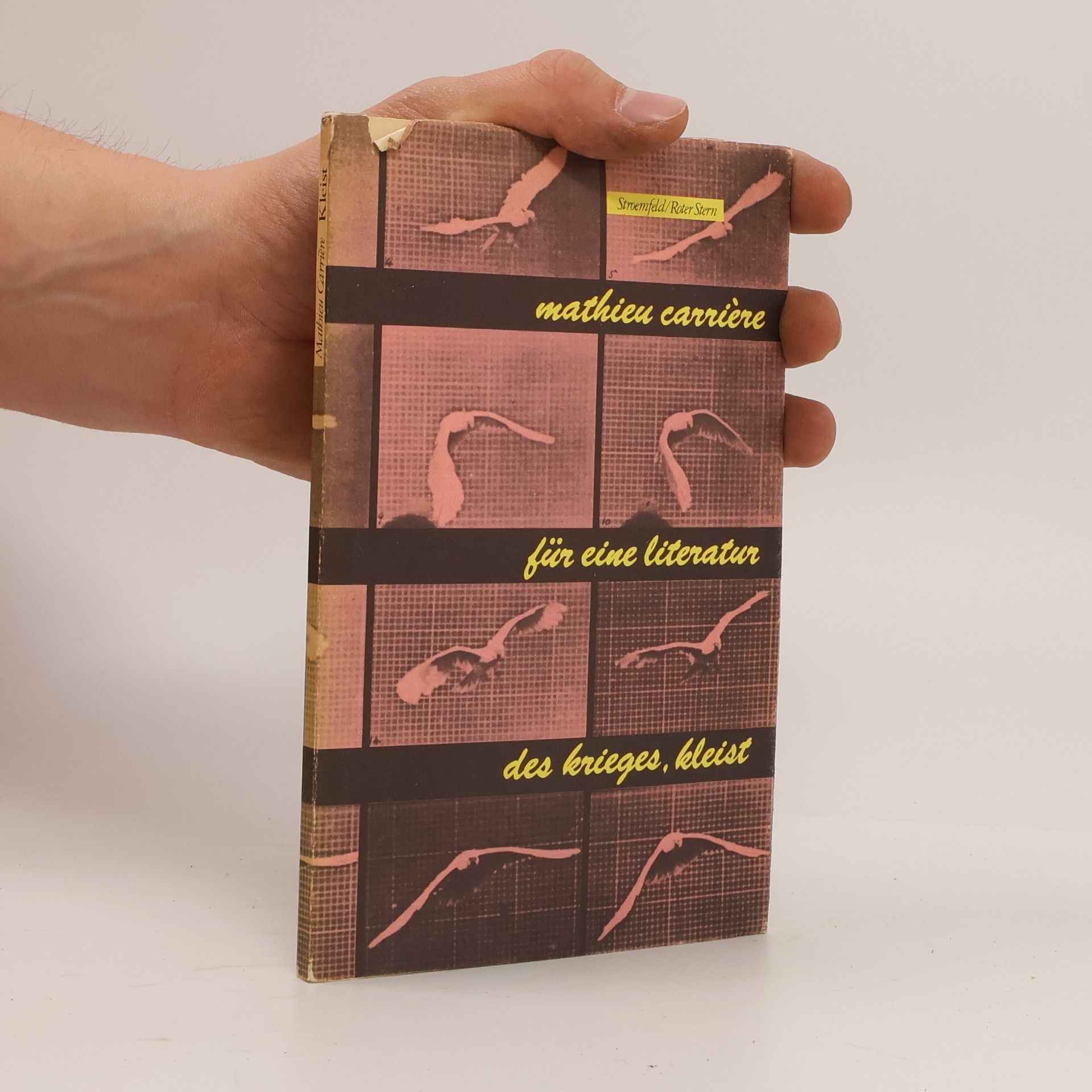 Für eine Literatur des Krieges, Kleist