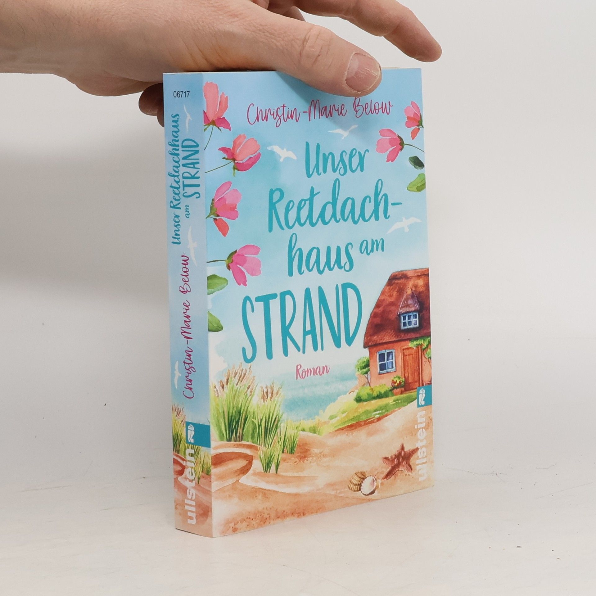 Christin-Marie Below Unser Reetdachhaus am Strand