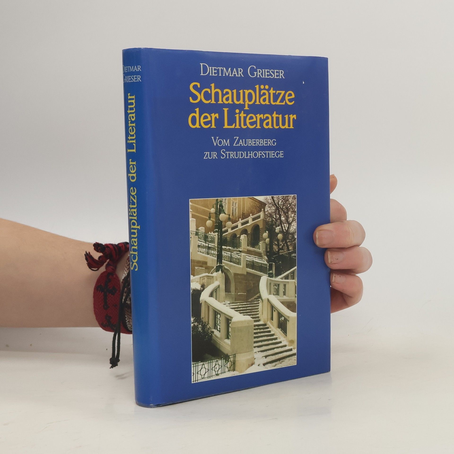Dietmar Grieser Schauplätze der Literatur vom Zauberberg zur Strudlhofstiege