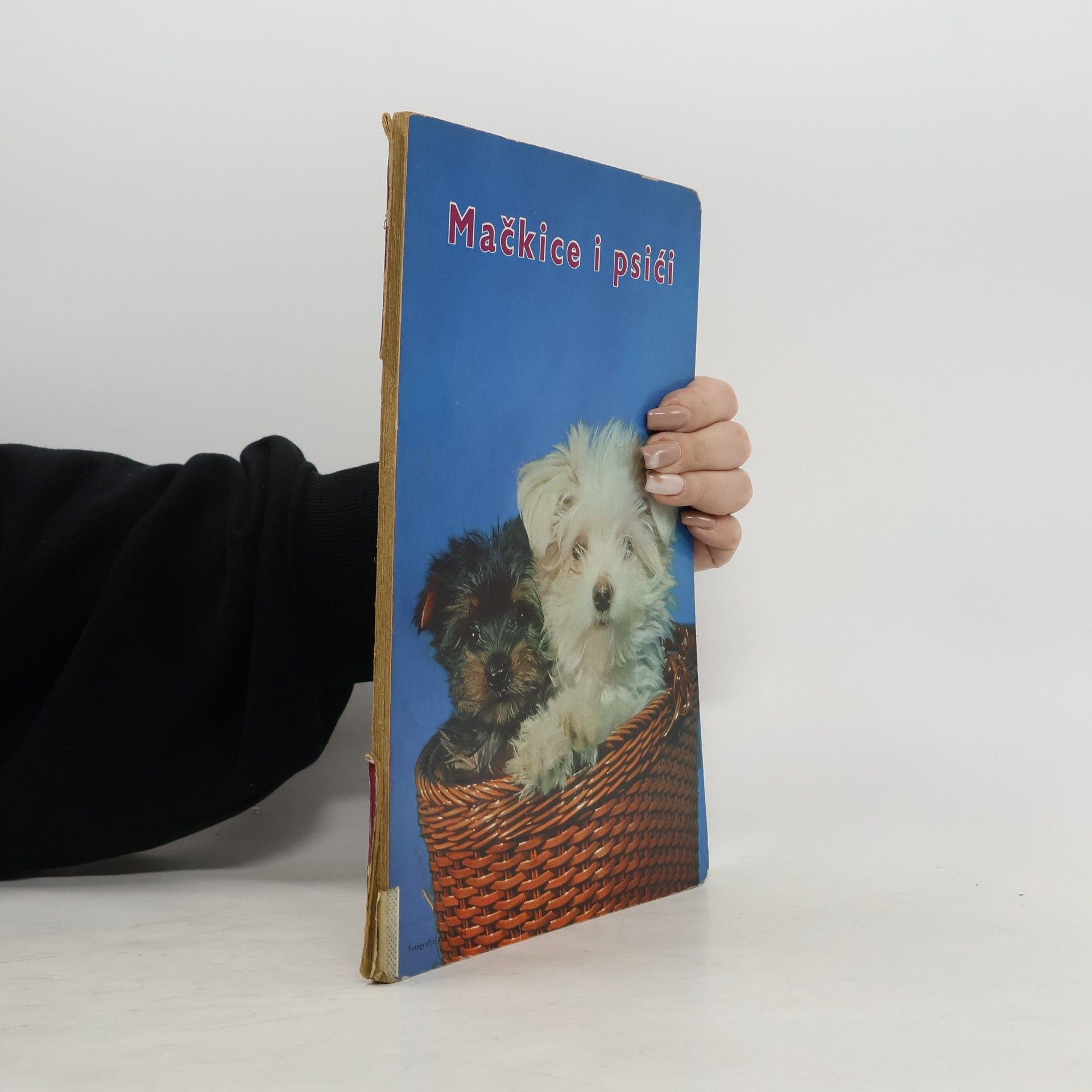 Various authors Mačkice i psići