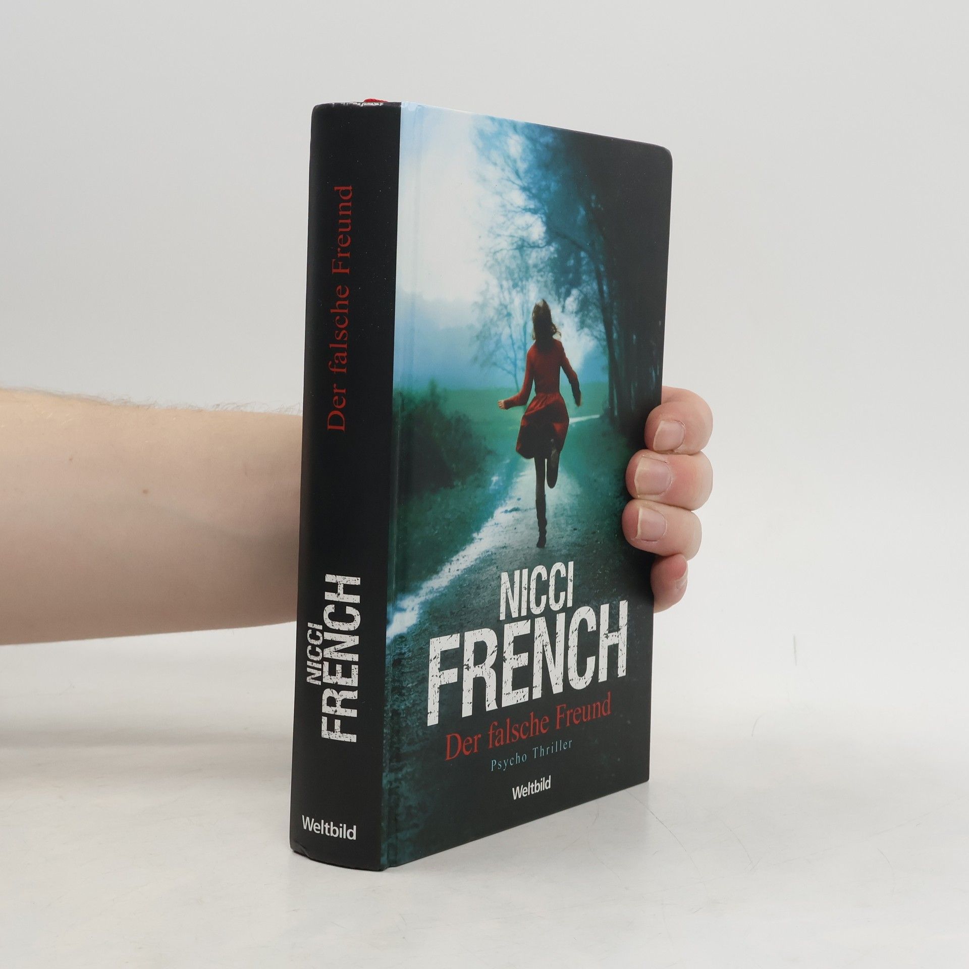 Nicci French Der falsche Freund