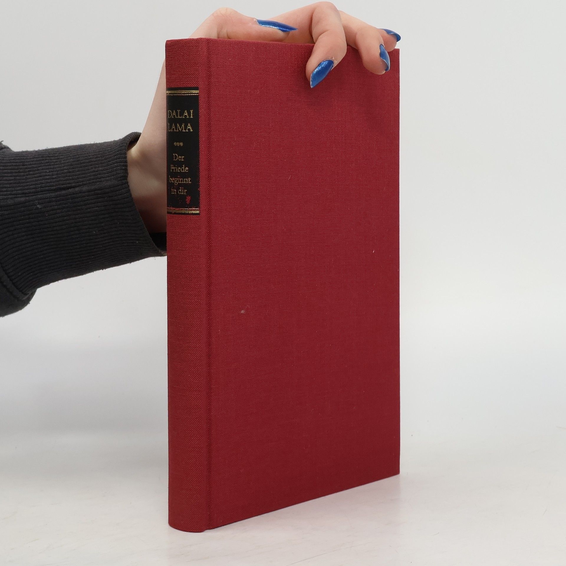 Dalai Lama Der Friede beginnt in dir