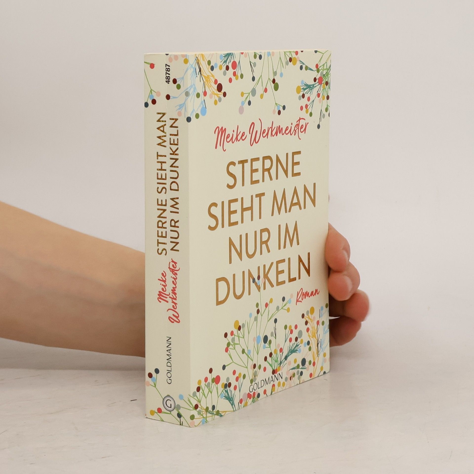 Meike Werkmeister Sterne sieht man nur im Dunkeln