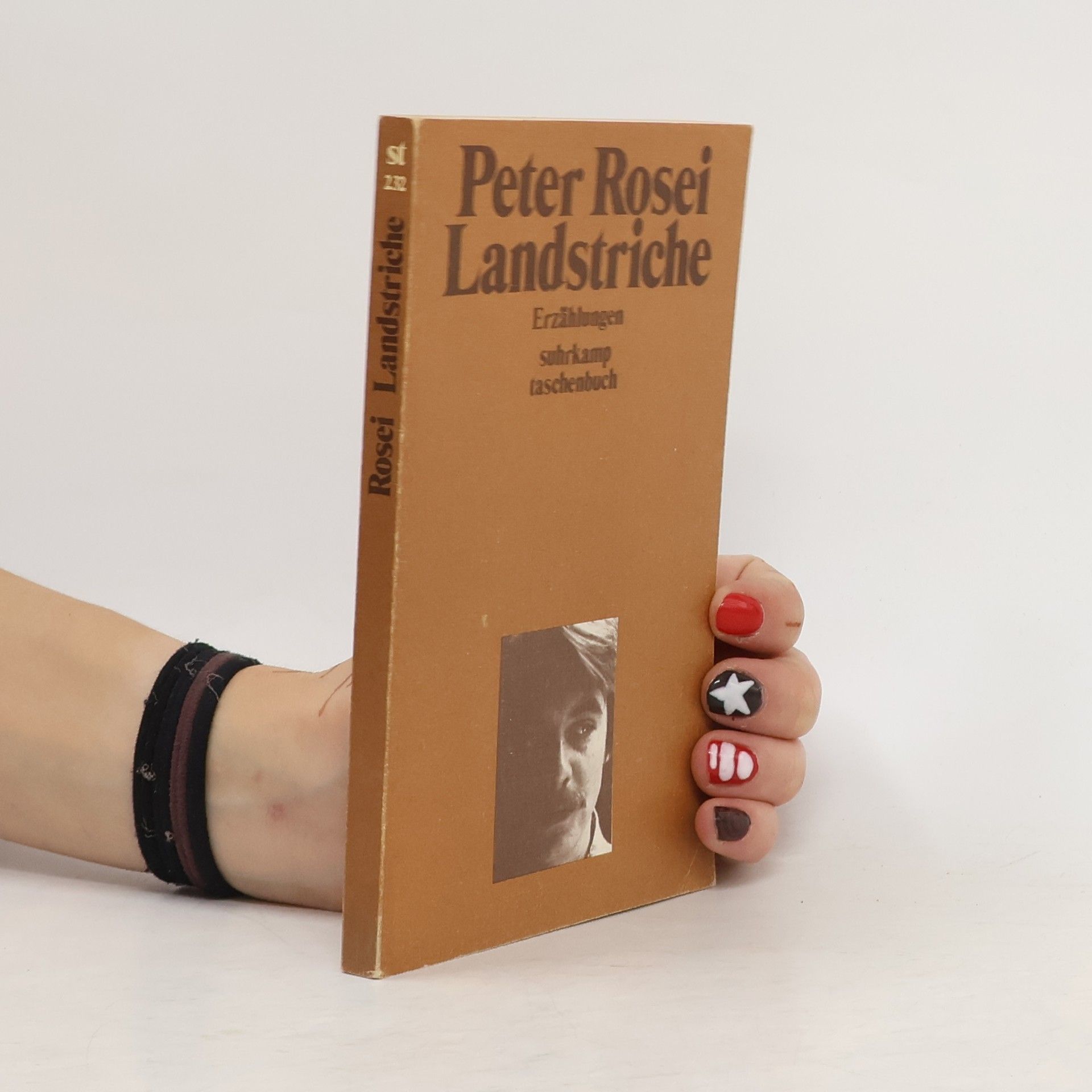 Peter Rosei Landstriche