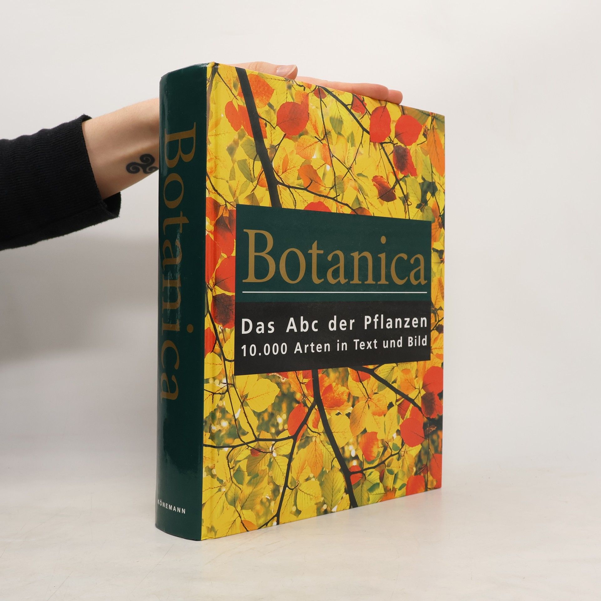 Gordon Cheers Botanica