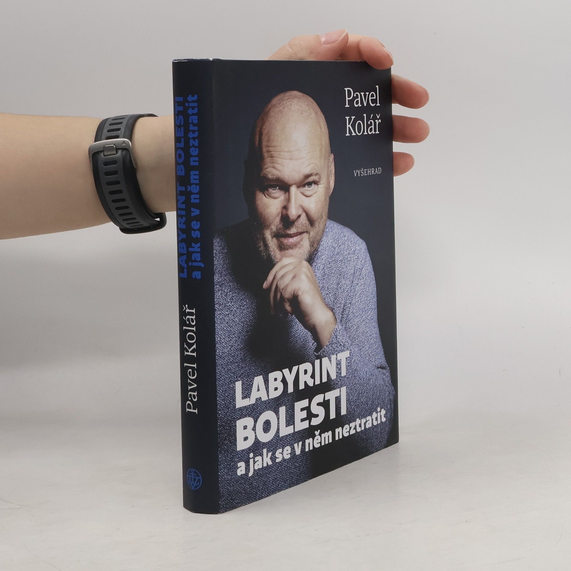 Pavel Kolář Labyrint bolesti a jak se v něm neztratit