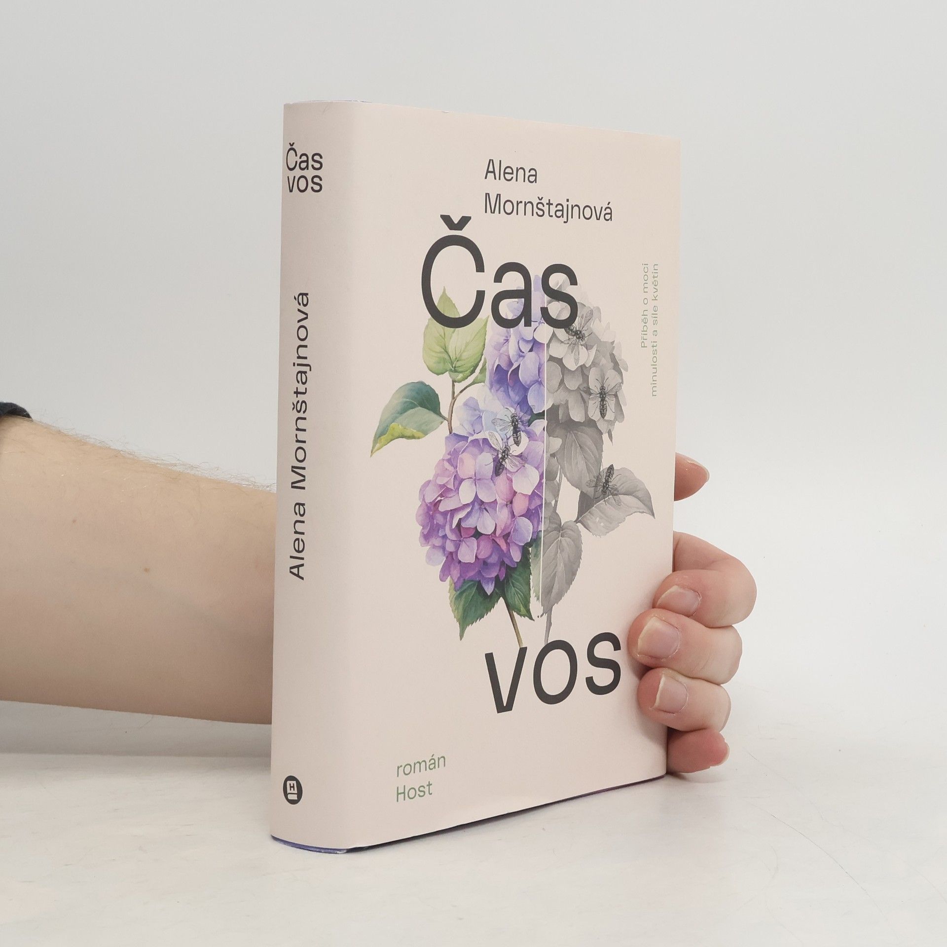 Alena Mornštajnová Čas vos