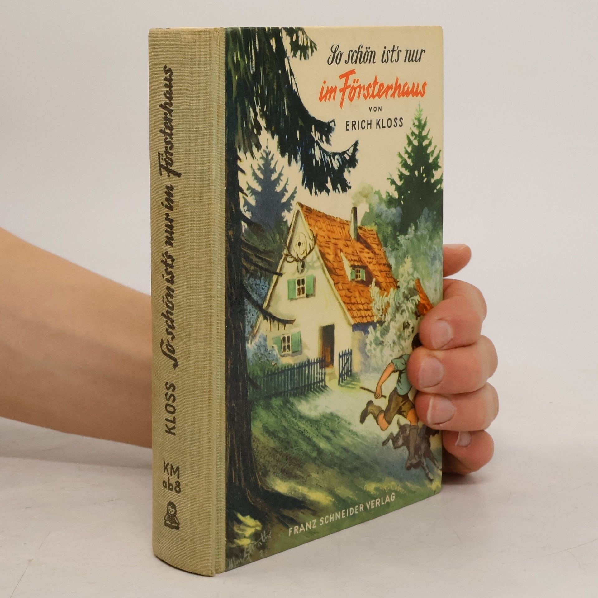 Erich Kloss Sommertage im Försterhaus