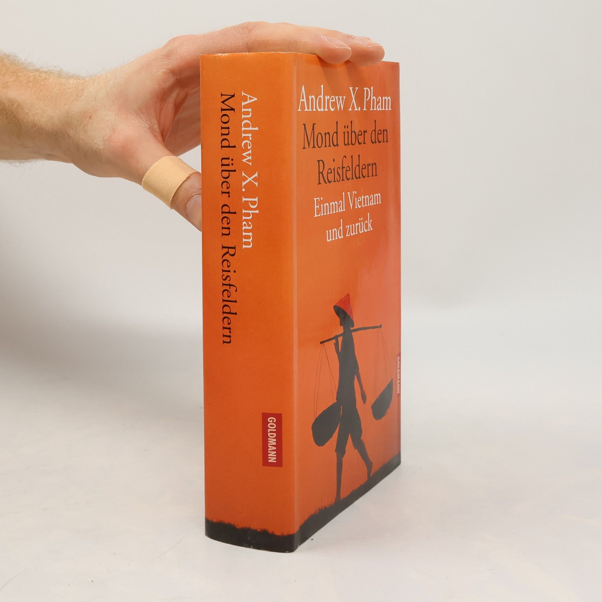 Andrew X. Pham Mond über den Reisfeldern