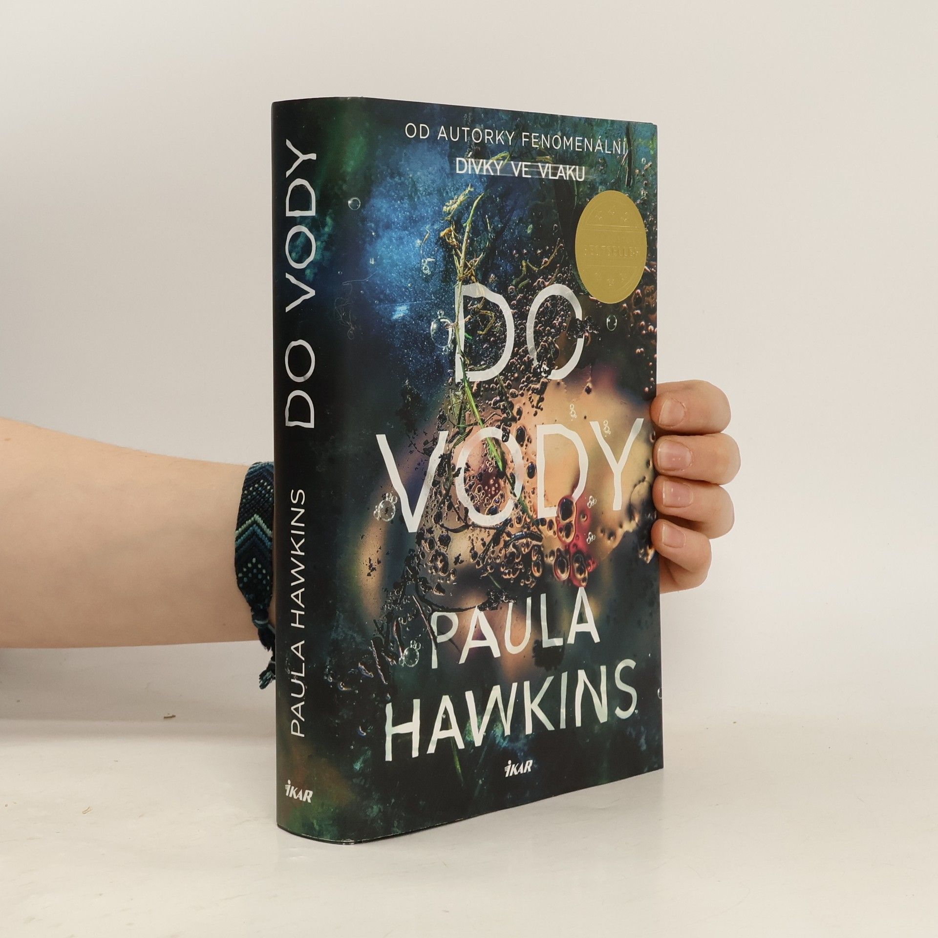 Paula Hawkins Do vody