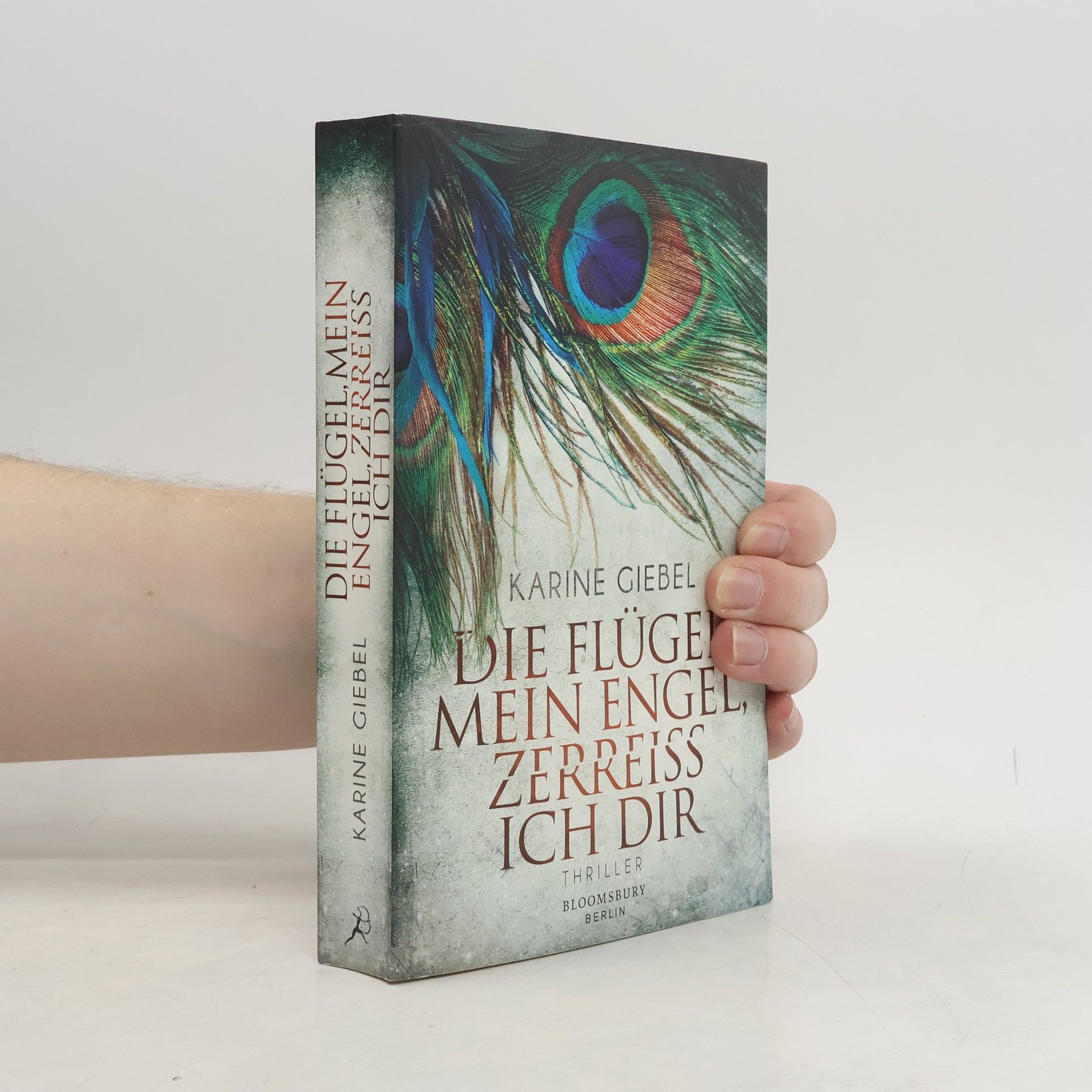 Karine Giebel Die Flügel, mein Engel, zerreiß ich dir