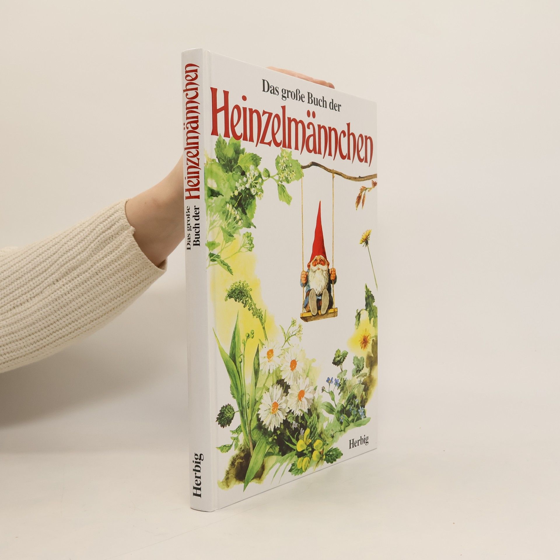 Wil Huygen Das grosse Buch der Heinzelmännchen