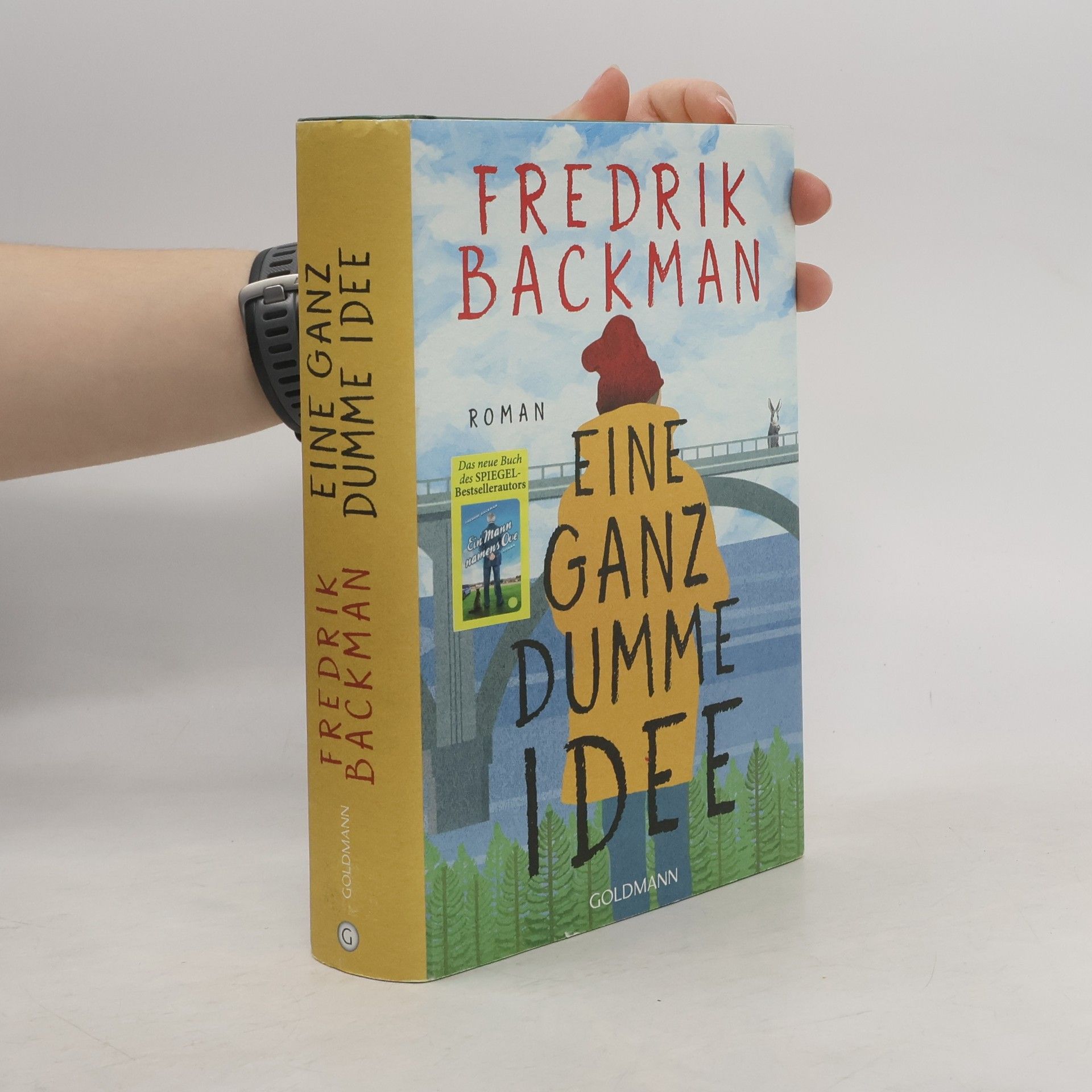 Fredrik Backman Eine Ganz dumme Idee